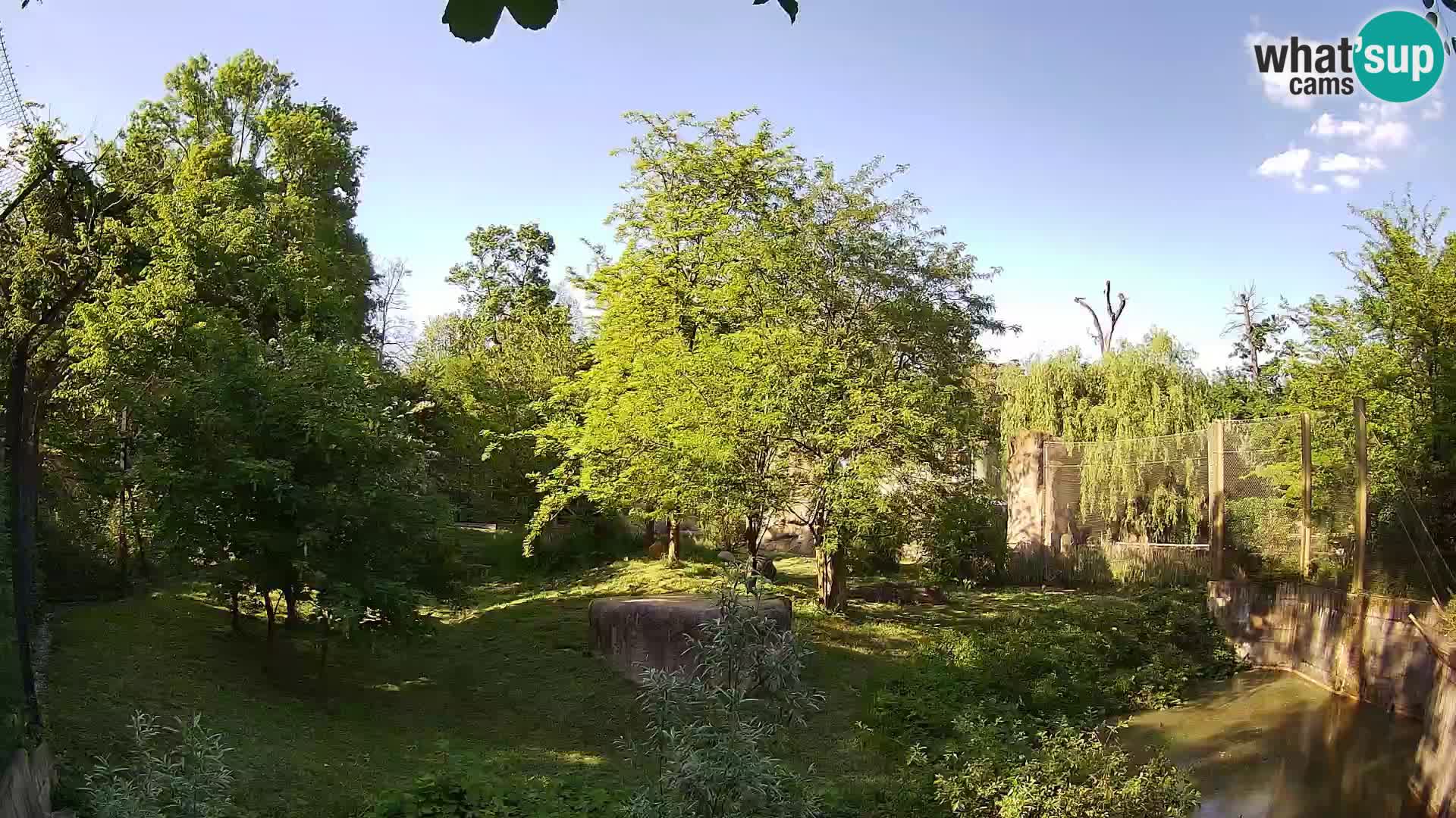 Zoo Zagreb – Löwen