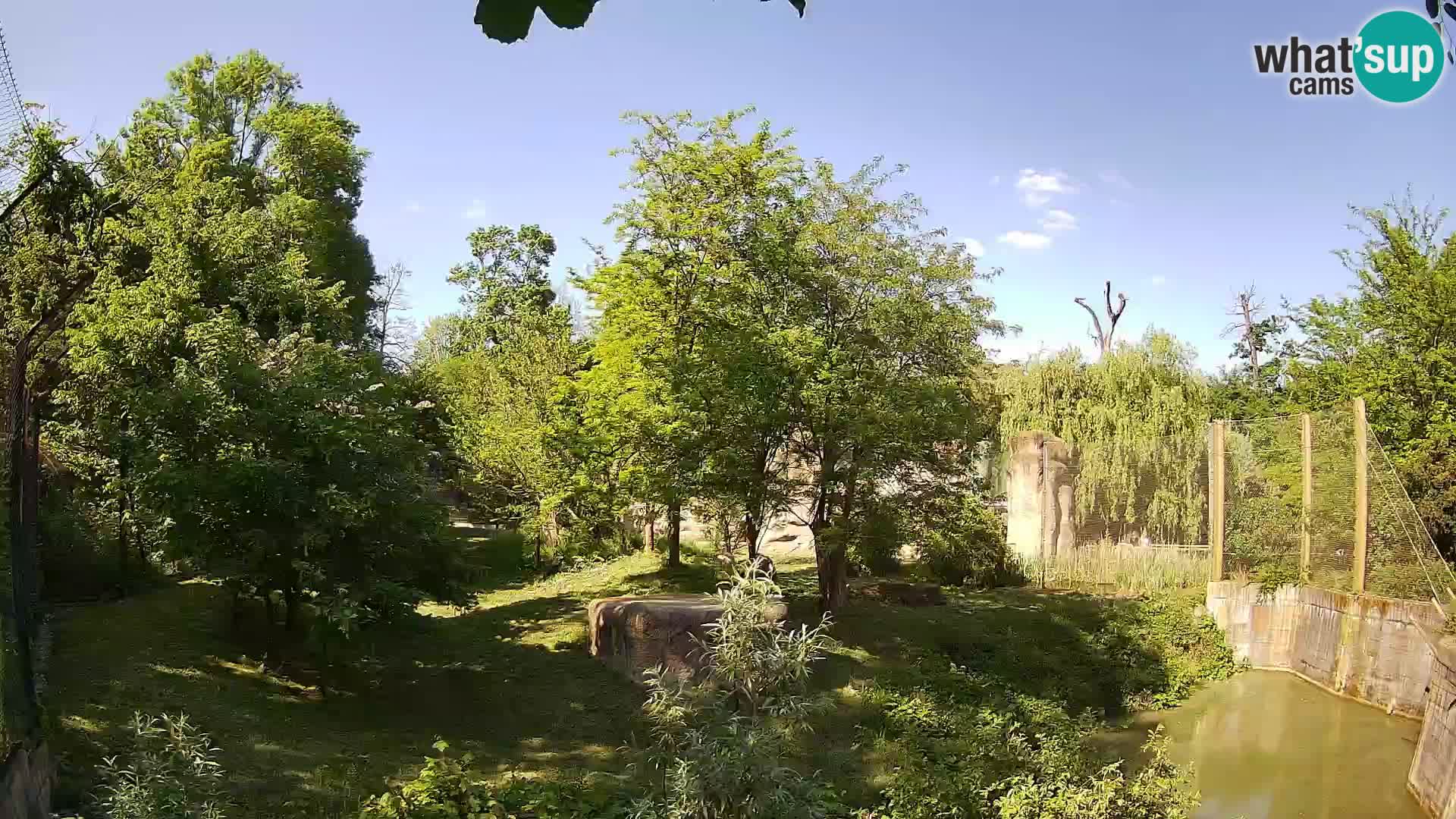 Zoo Zagreb – Leones