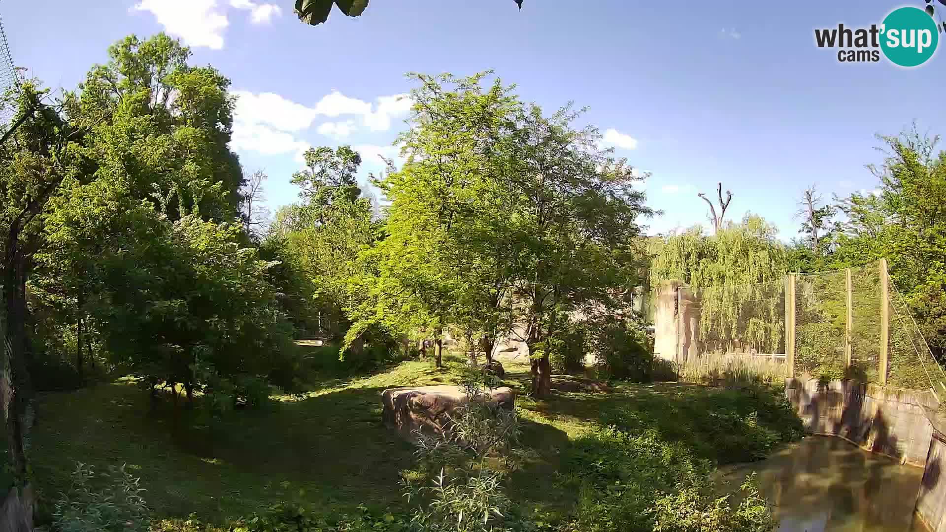 Zoo Zagreb – Leones
