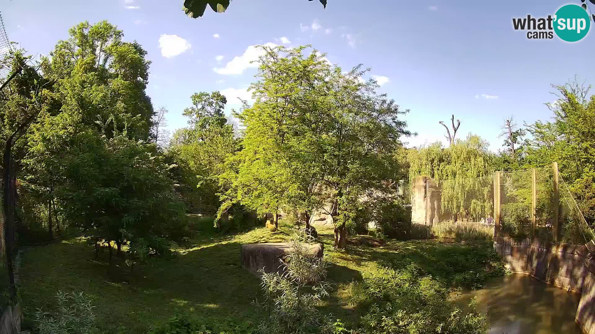 Zoo Zagreb – Leoni