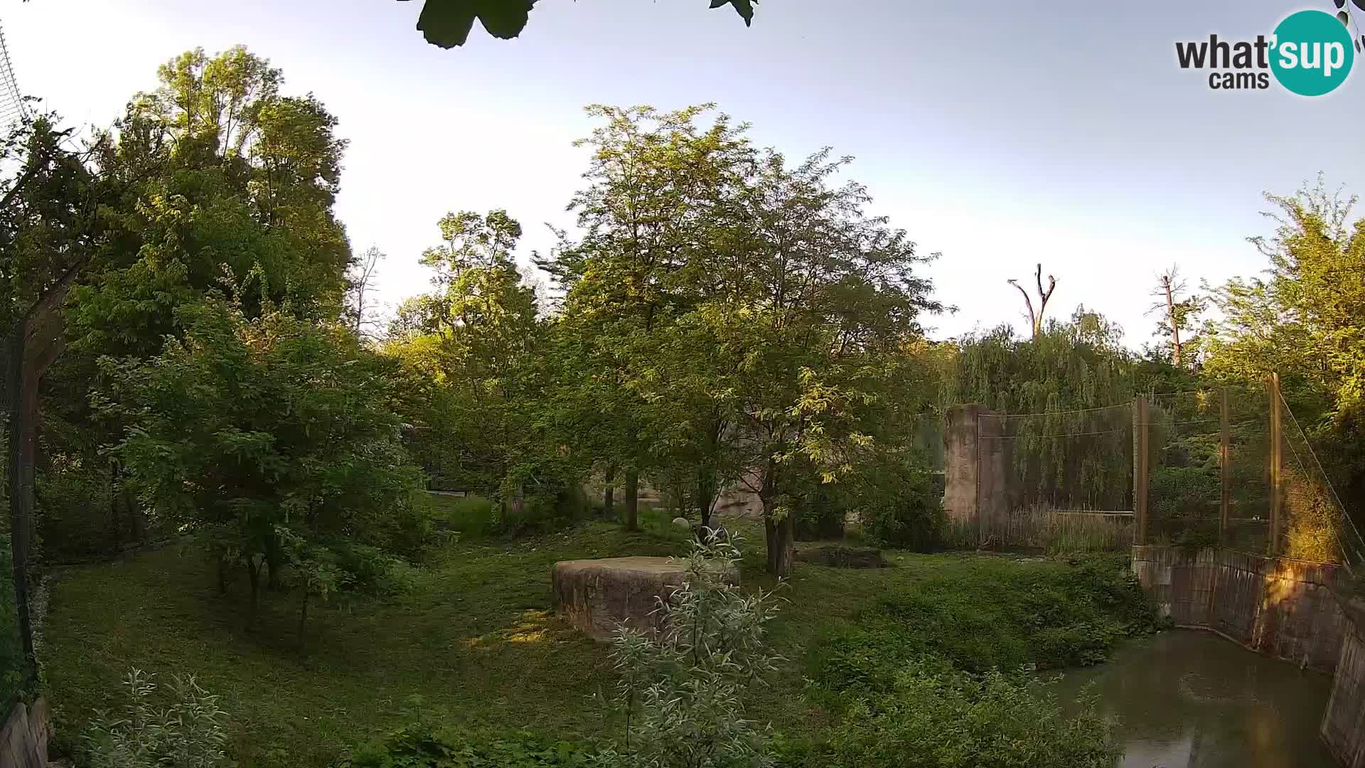 Zoo Zagreb – Leones