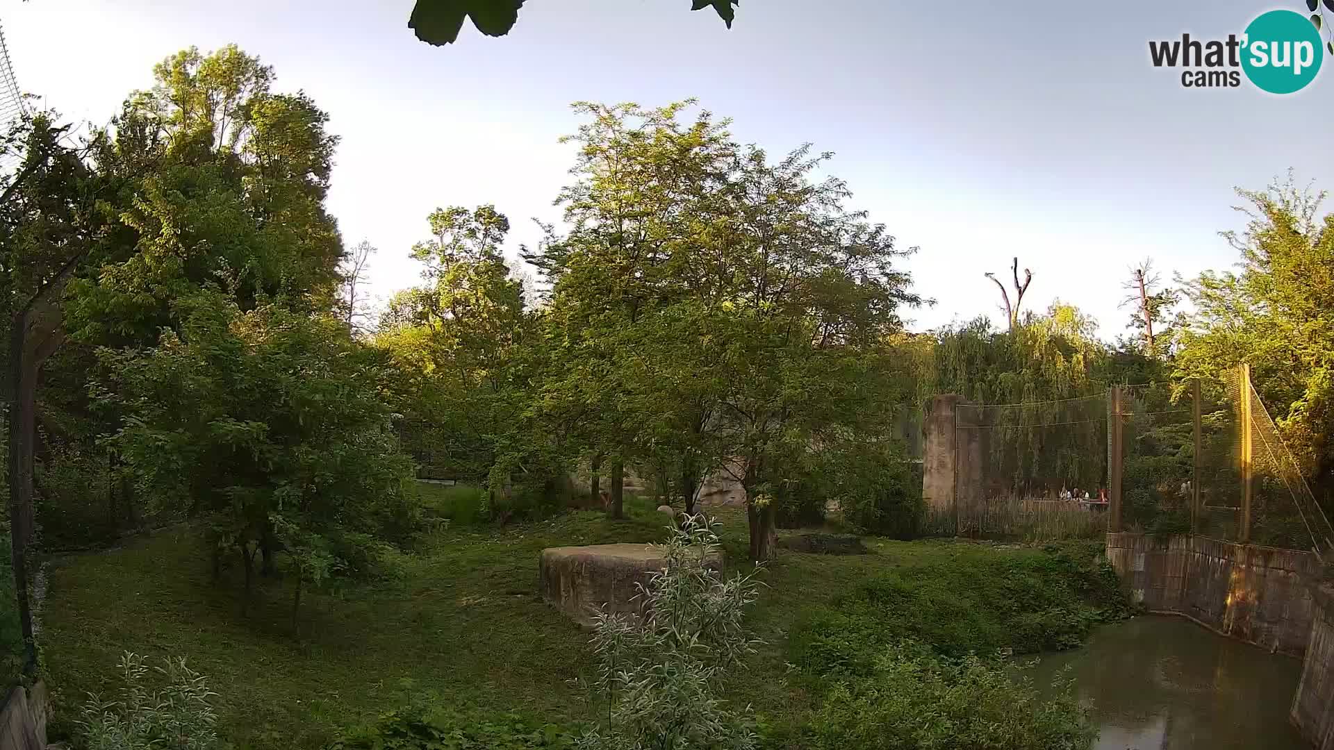 Zoo Zagreb – Leones