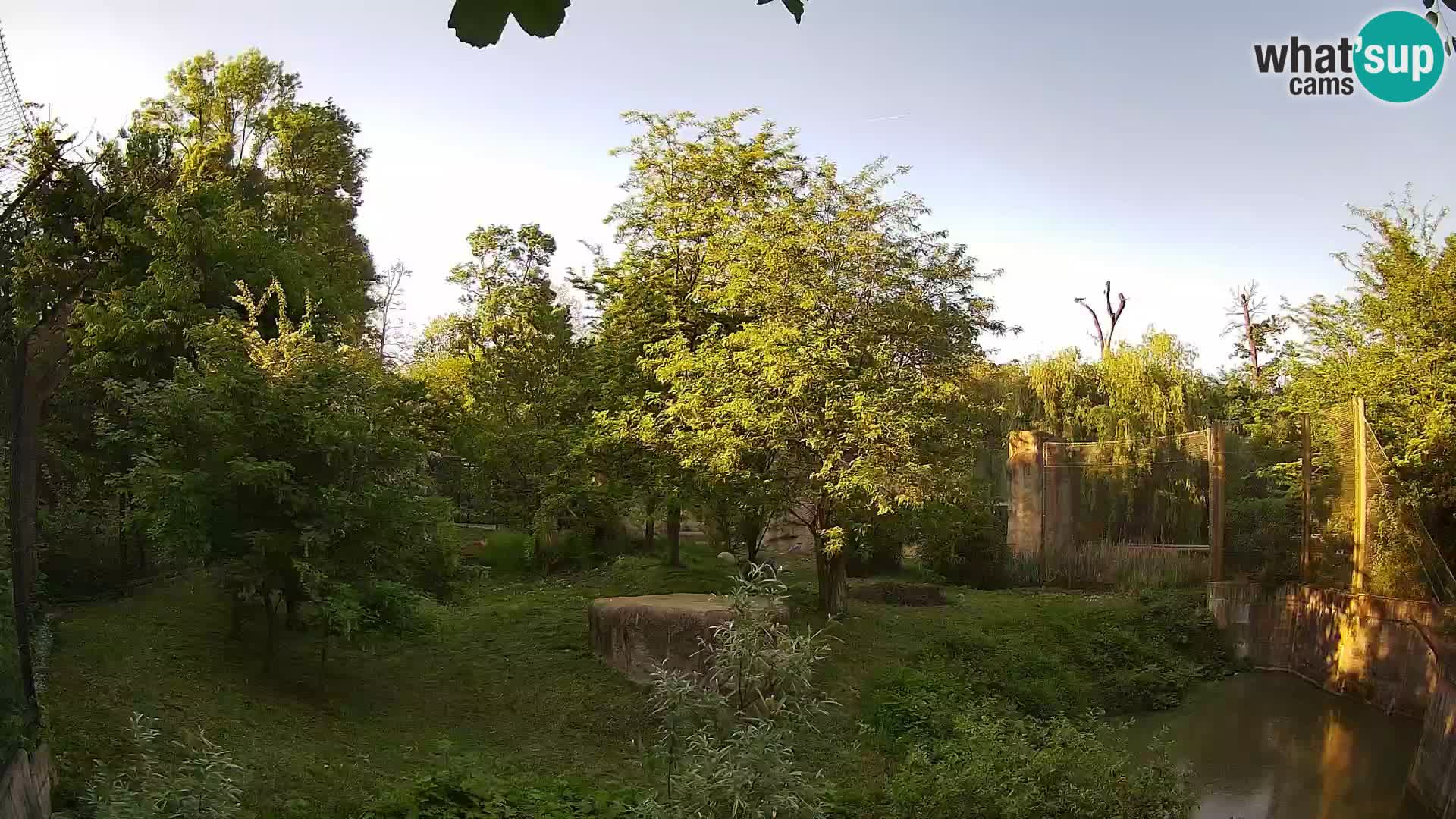 Zoo Zagreb – Leoni