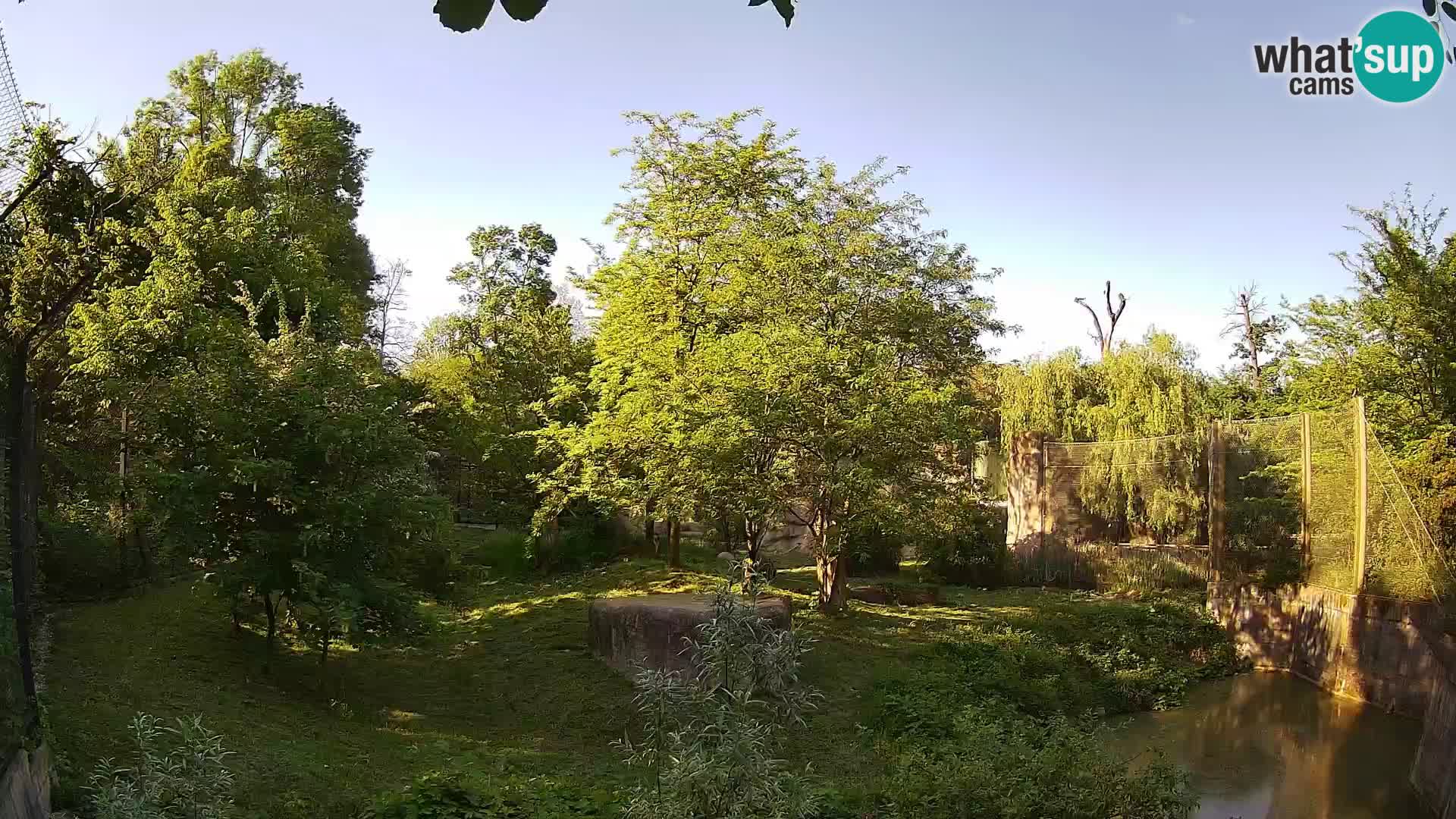 Spletna kamera Zoo Zagreb – Levi