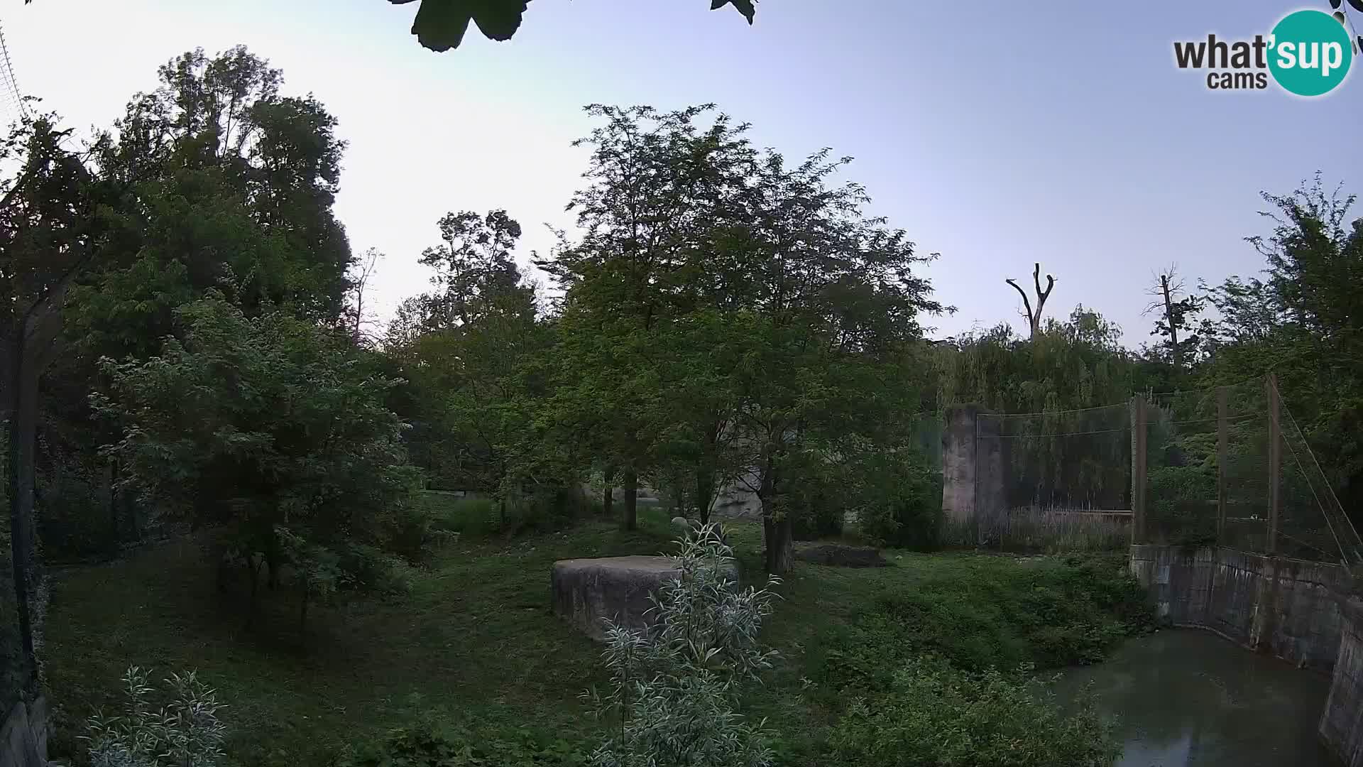 Zoo Zagreb – Leoni