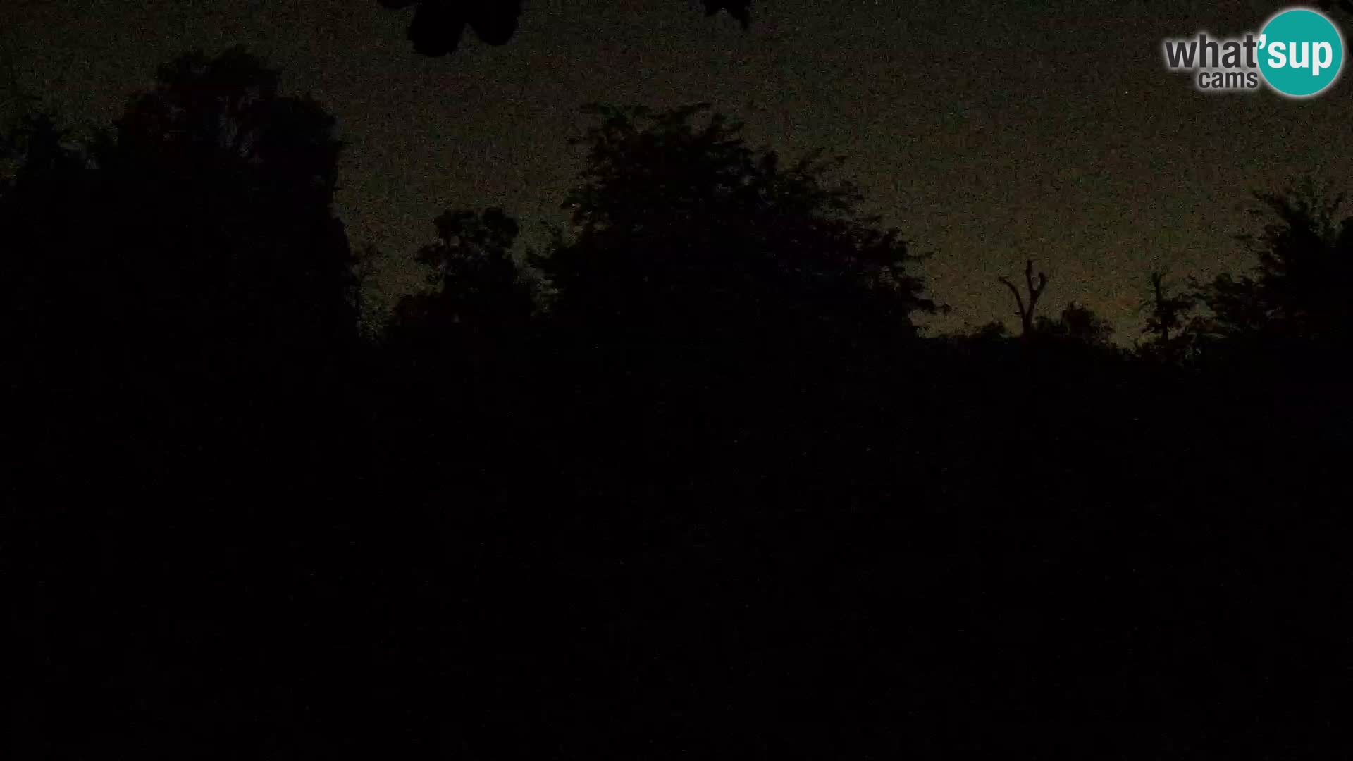 Zoo Zagreb – Leones