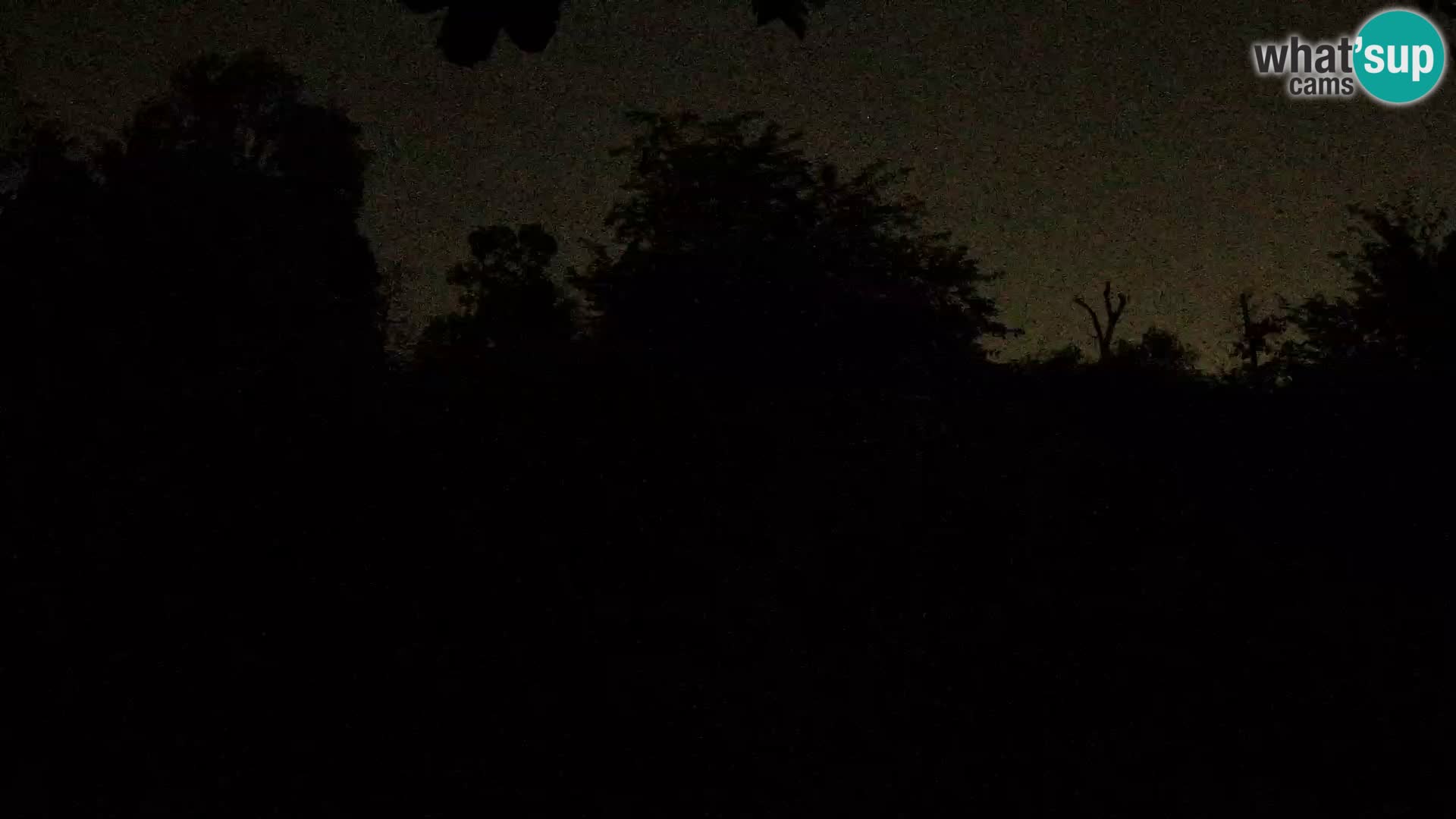 Zoo Zagreb – Leones