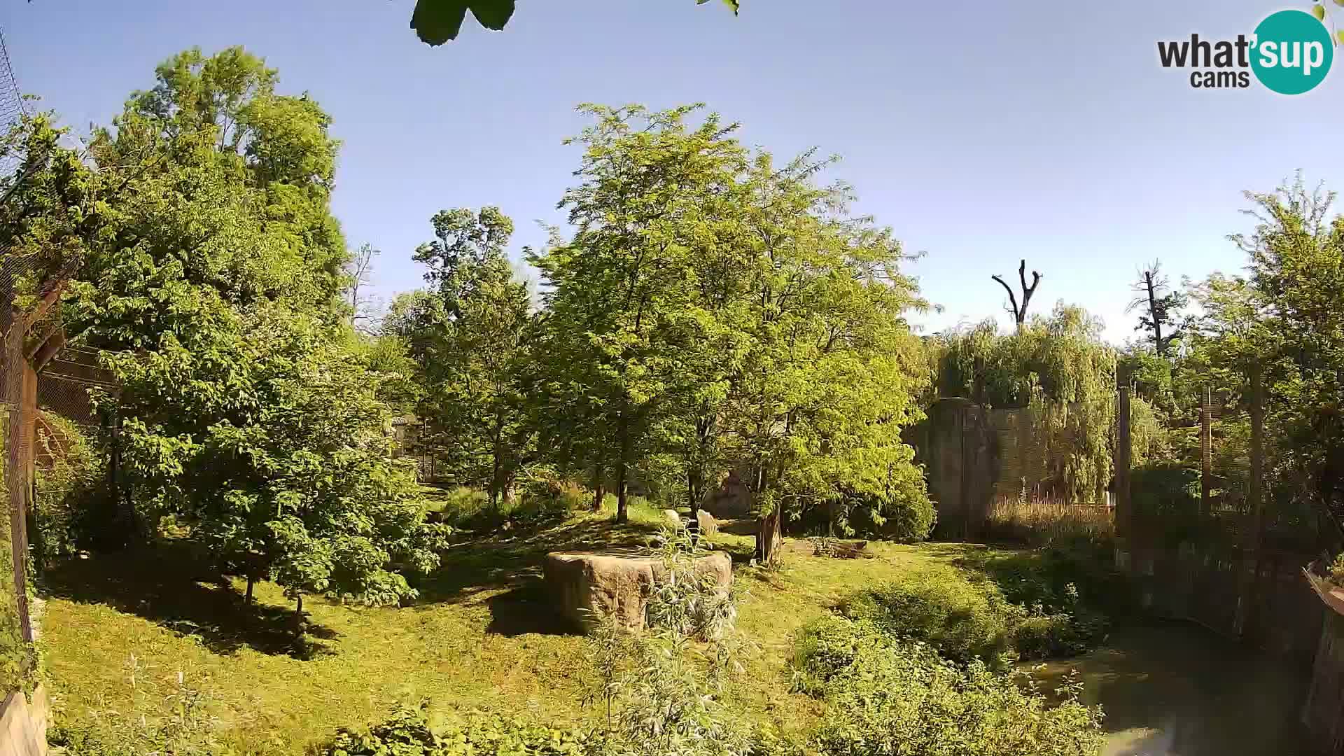 Zoo Zagreb – Leones