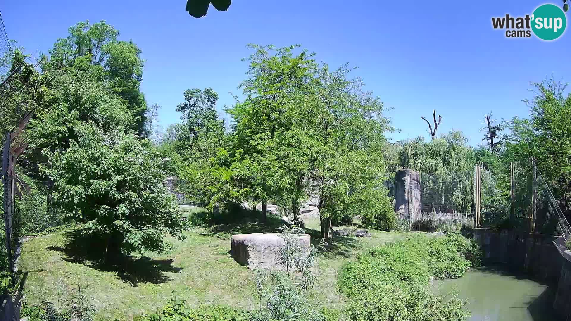 Zoo Zagreb – Leoni
