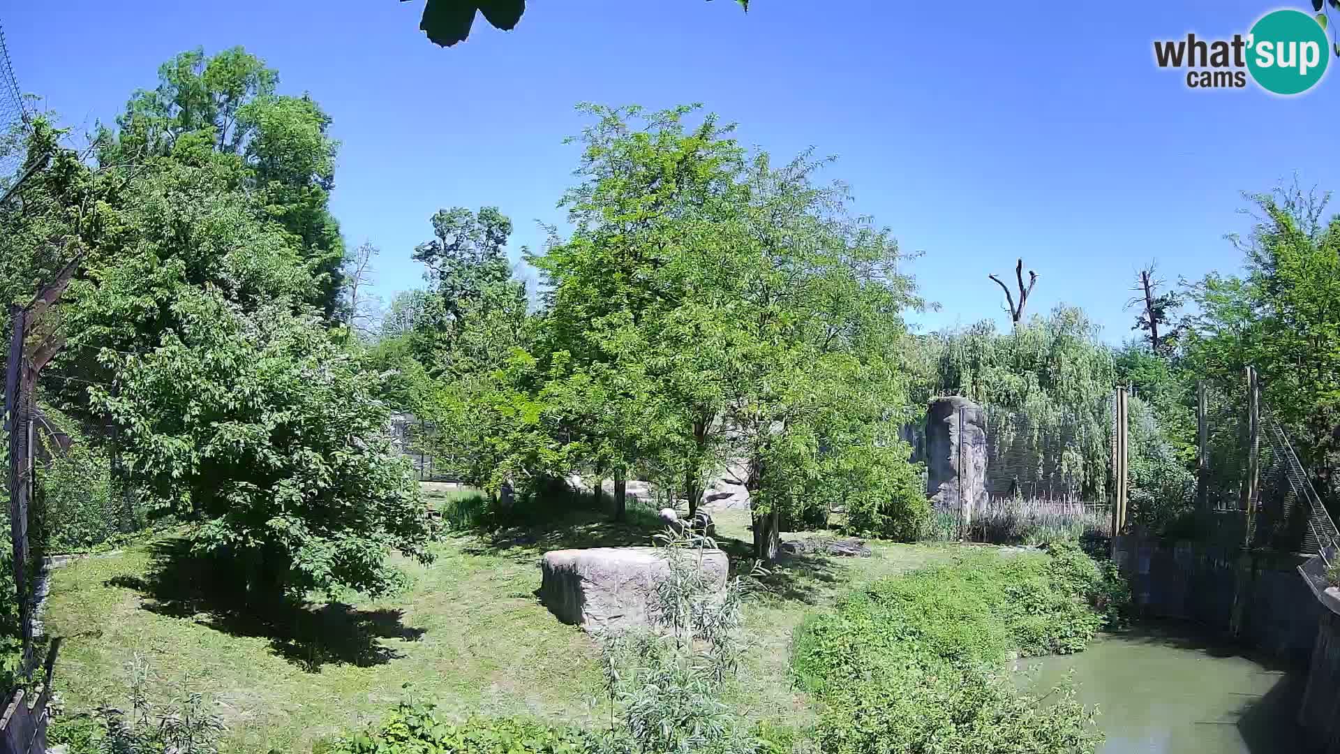 Zoo Zagreb – Leoni