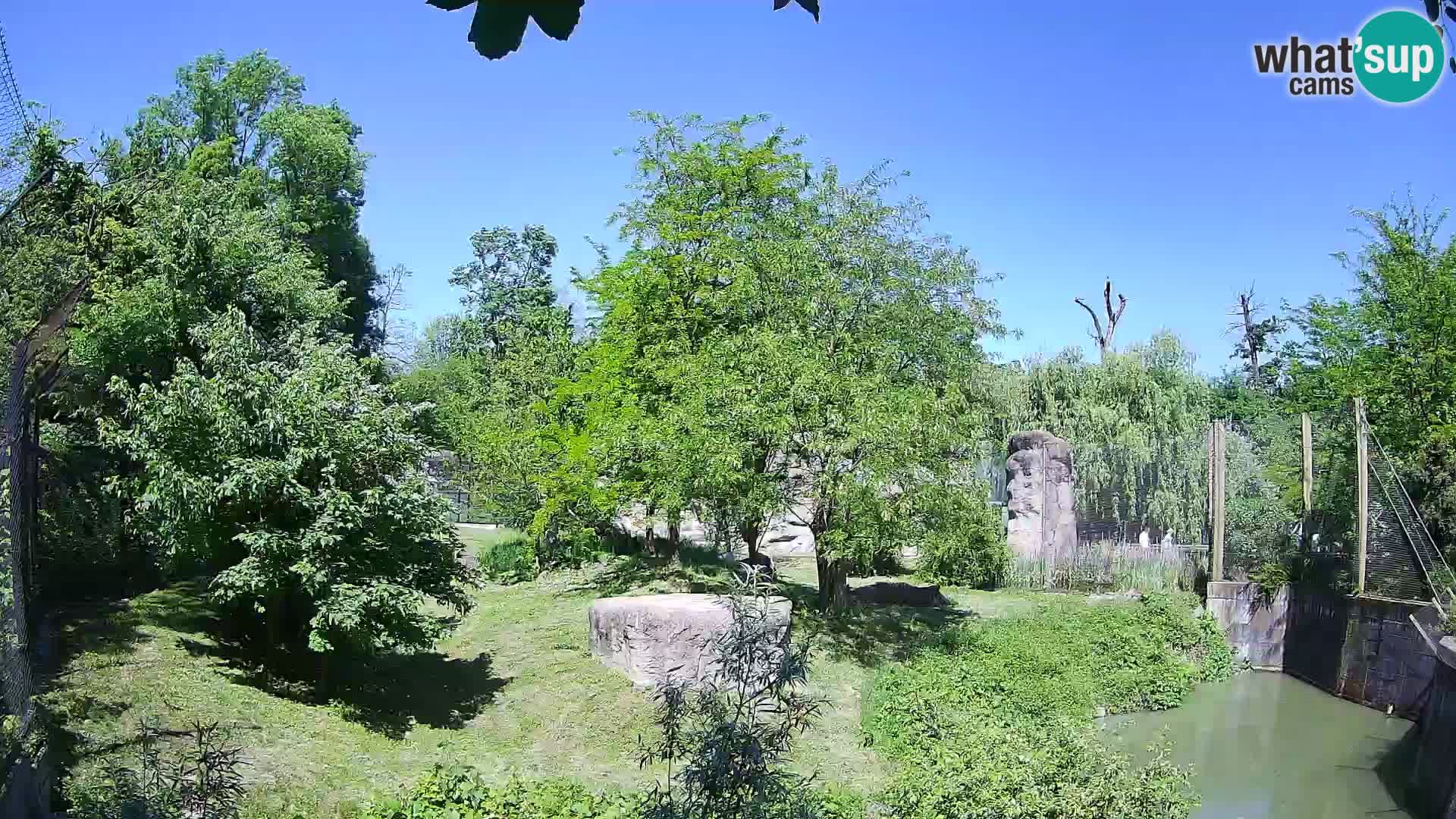 Zoo Zagreb – Löwen