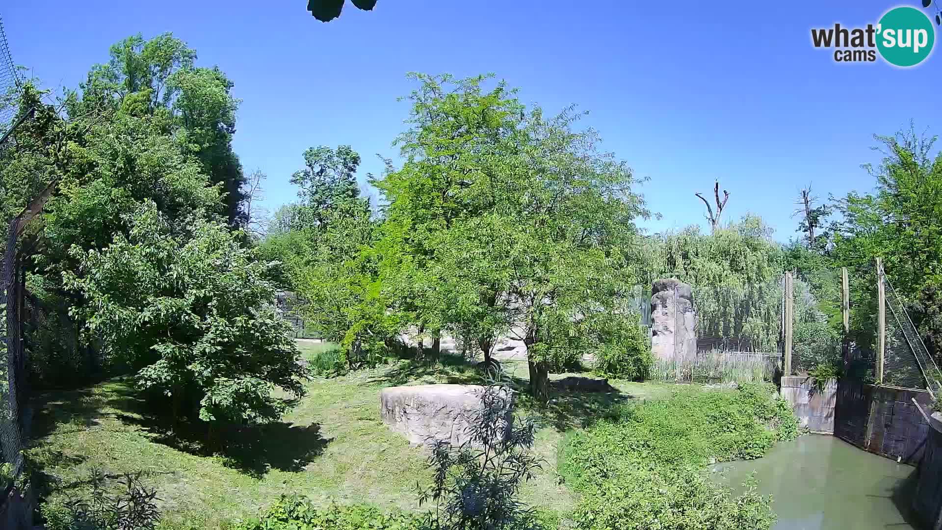 Zoo Zagreb – Leoni