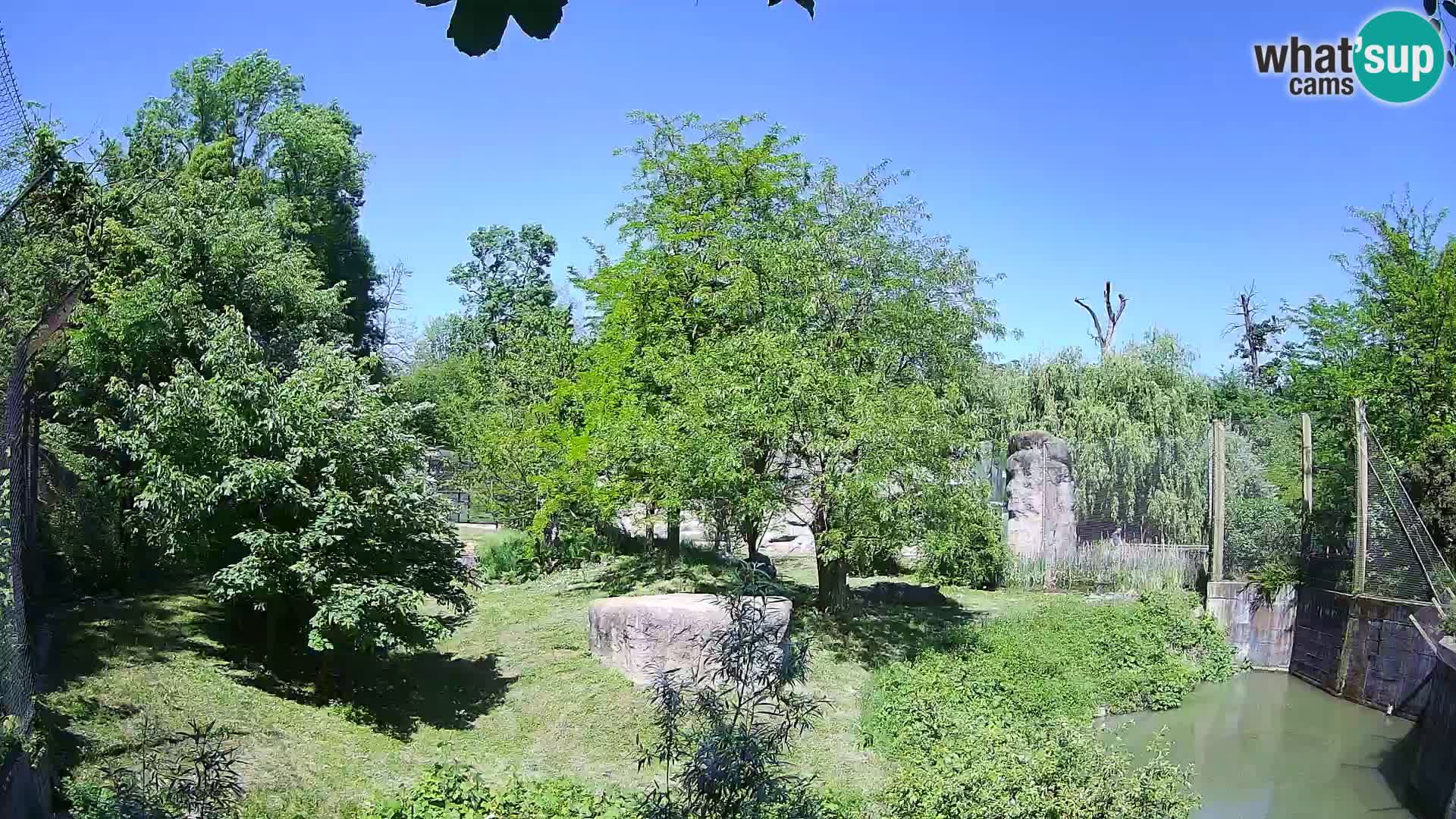 Zoo Zagreb – Leoni