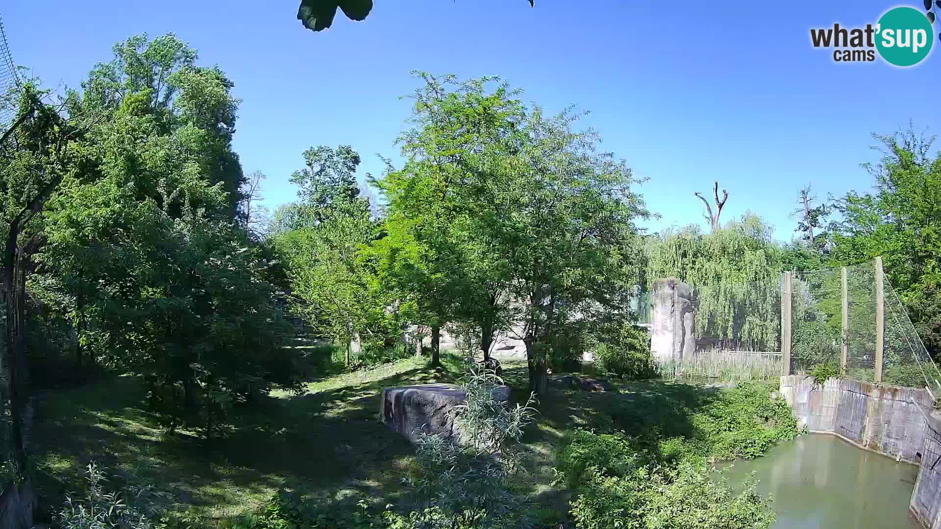 Zoo Zagreb – Löwen