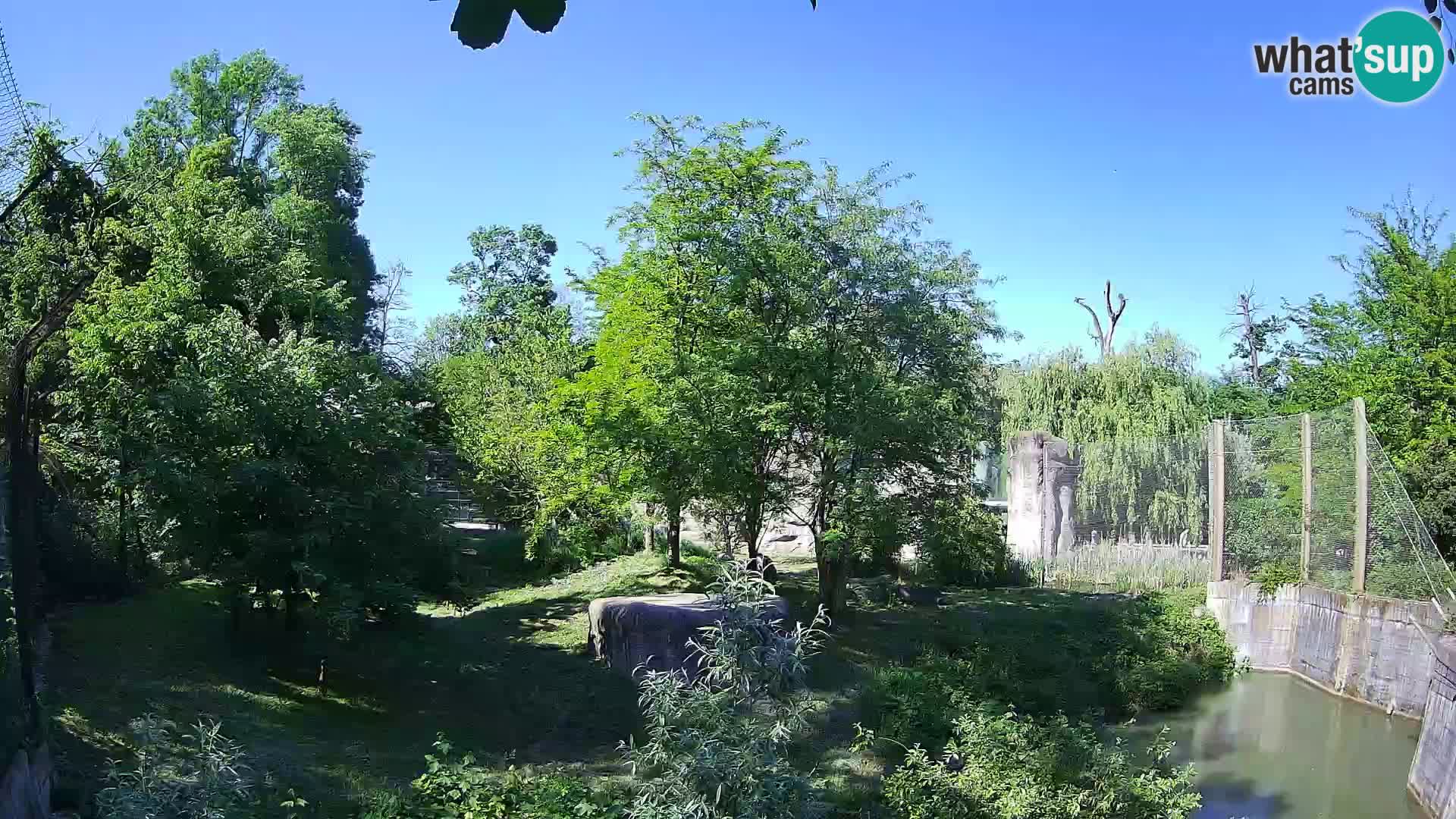 Zoo Zagreb – Leones