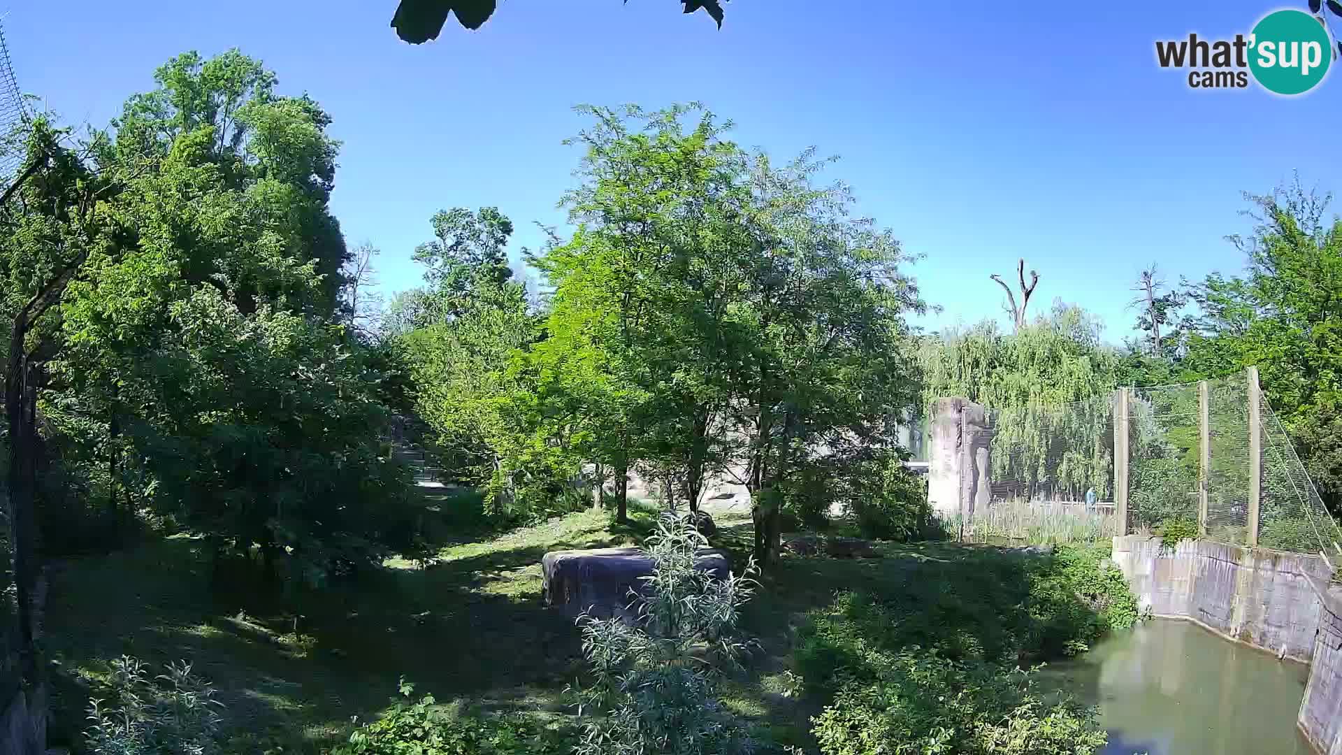 Zoo Zagreb – Leones