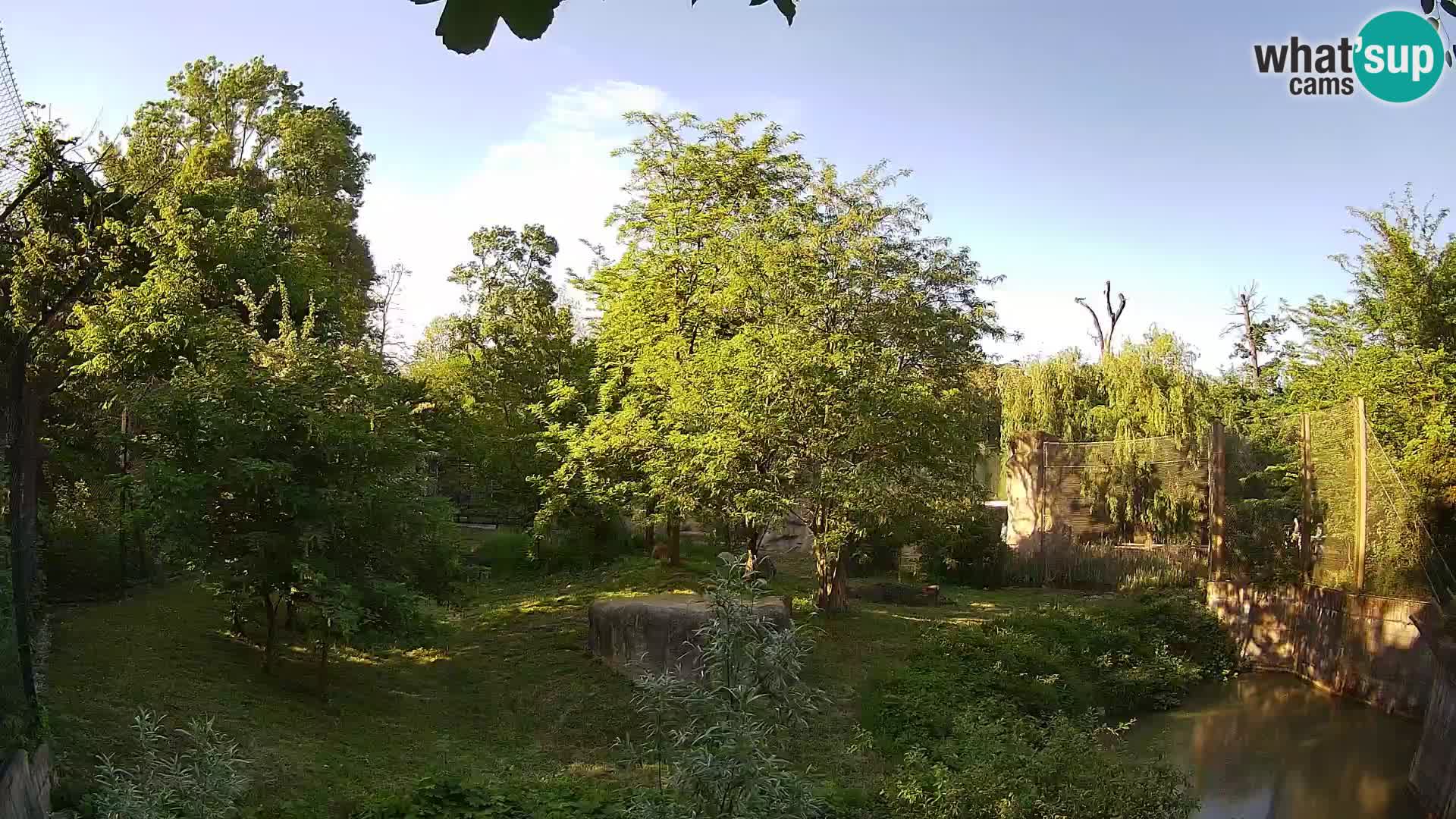 Zoo Zagreb – Leoni