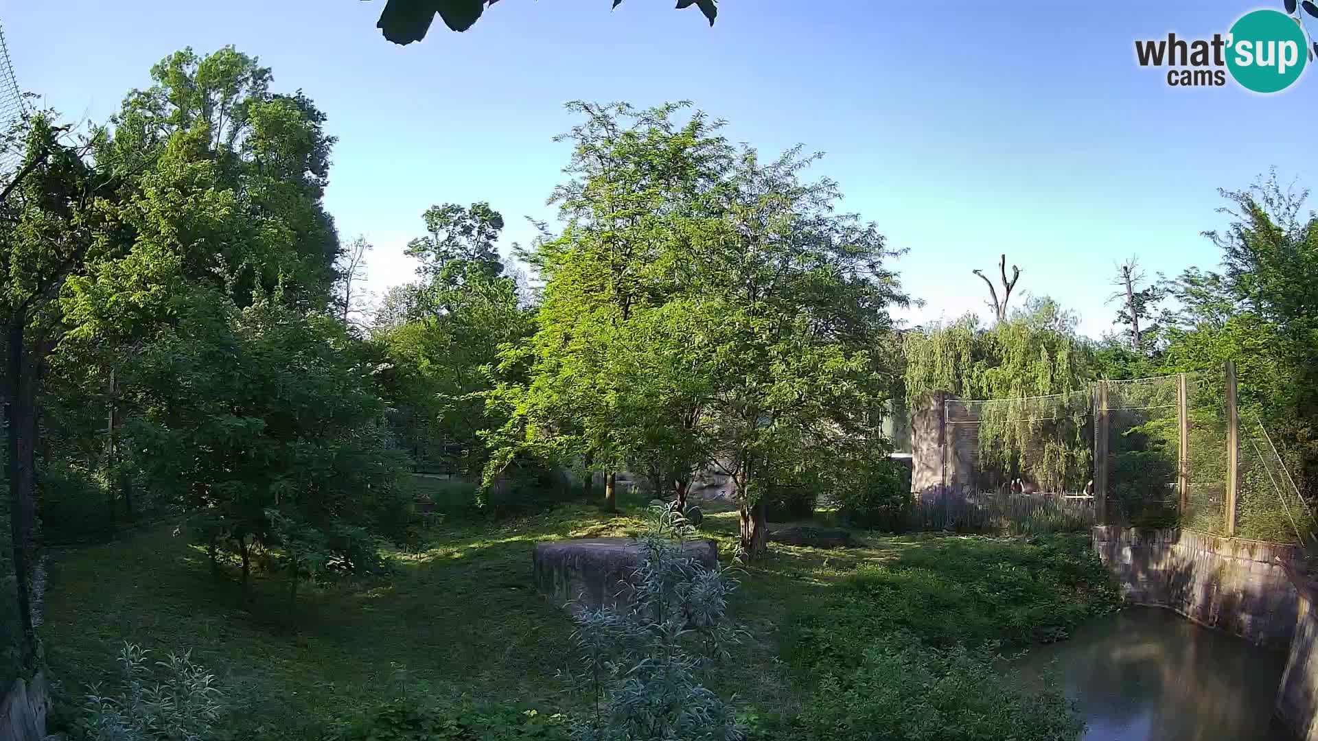 Spletna kamera Zoo Zagreb – Levi