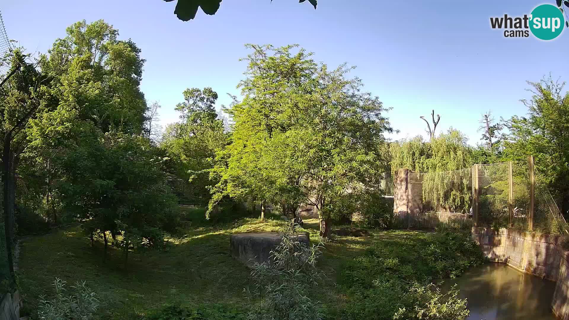Zoo Zagreb – Leoni