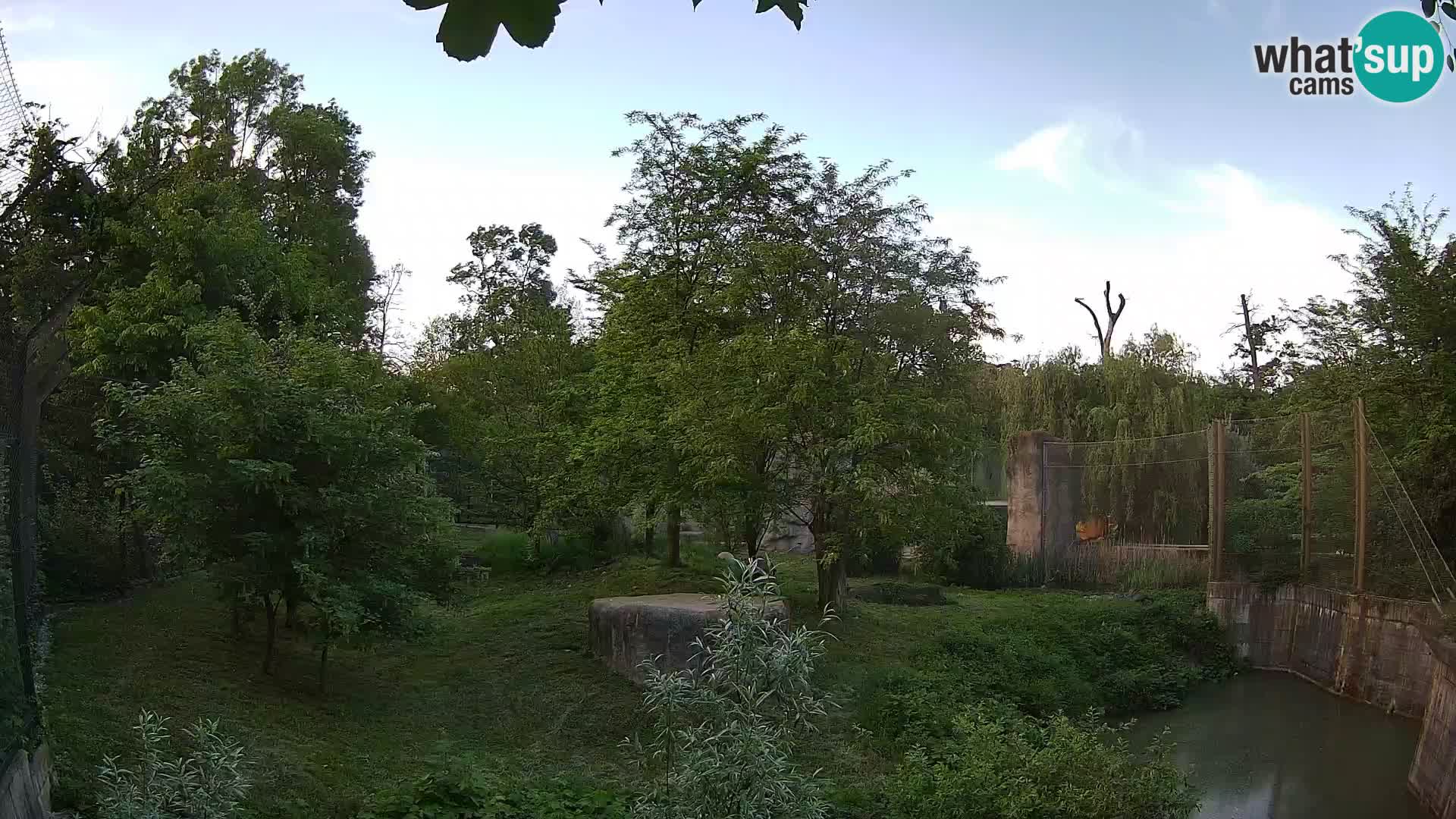 Zoo Zagreb – Löwen