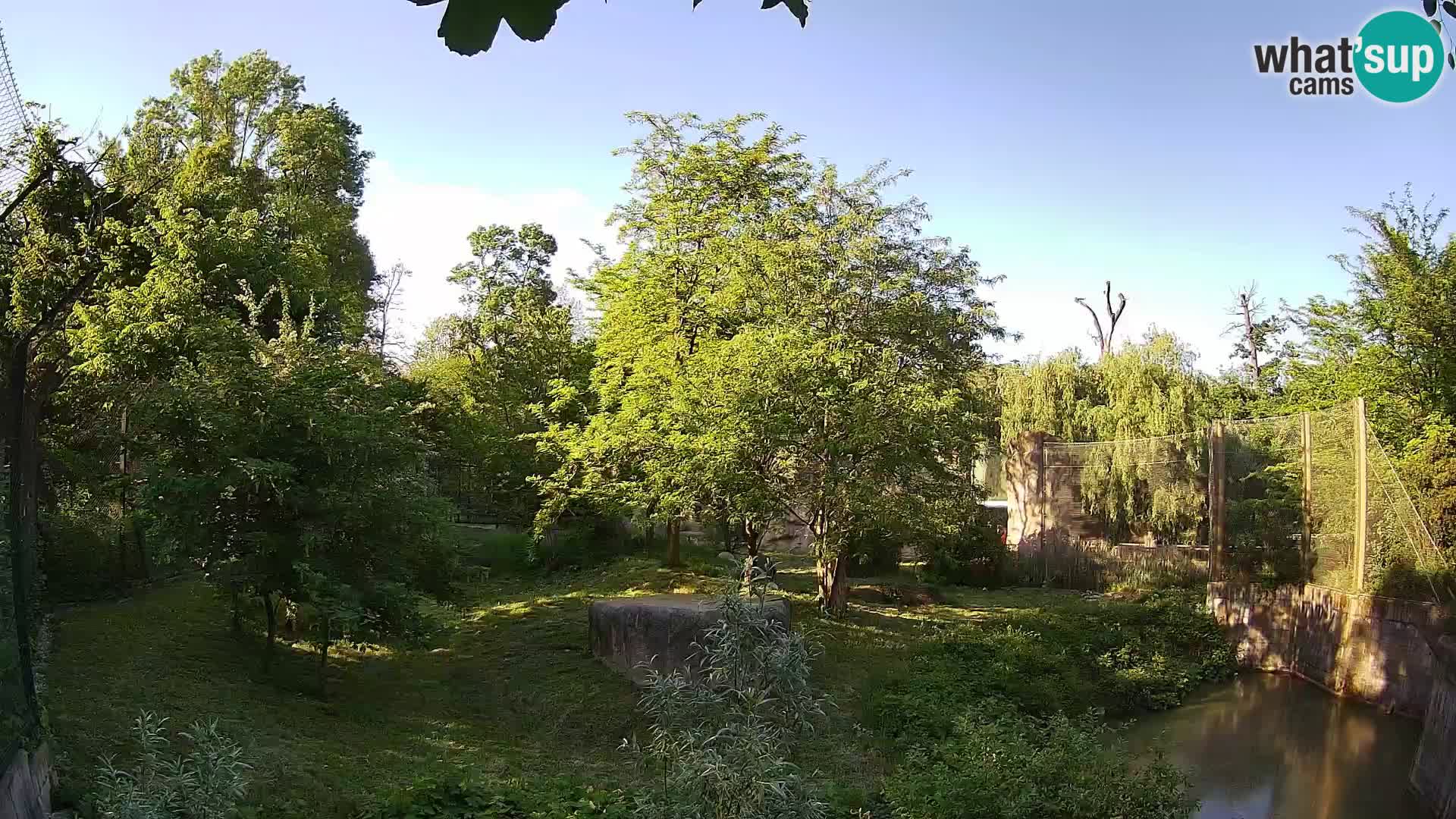 Zoo Zagreb – Leoni