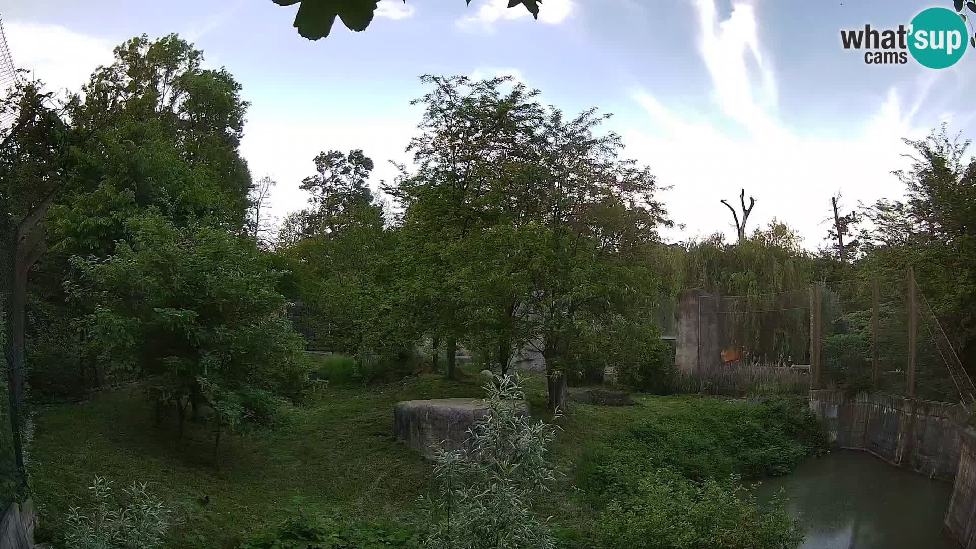 Zoo Zagreb – Löwen