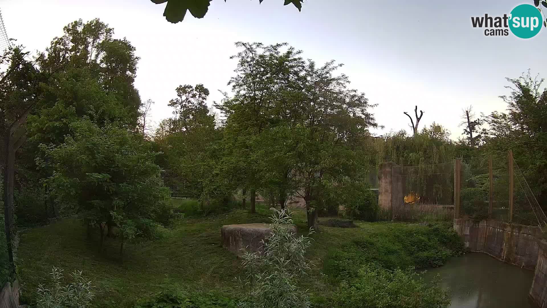 Zoo Zagreb – Löwen