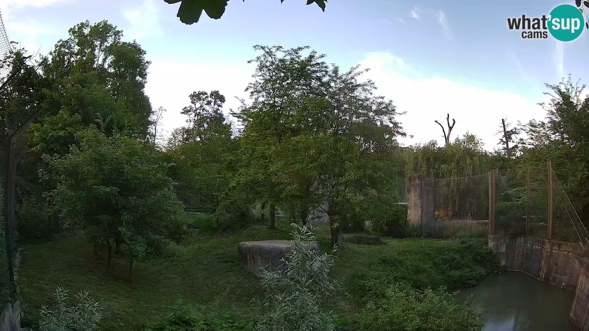 Zoo Zagreb – Löwen