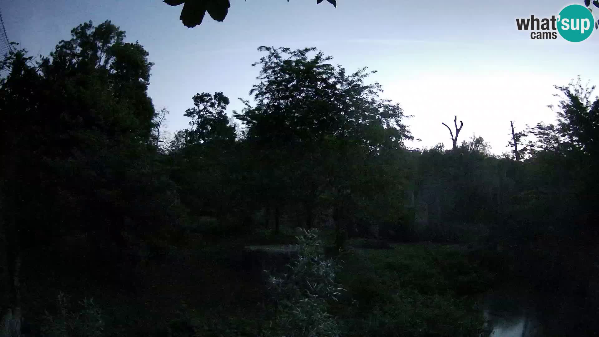 Zoo Zagreb – Löwen