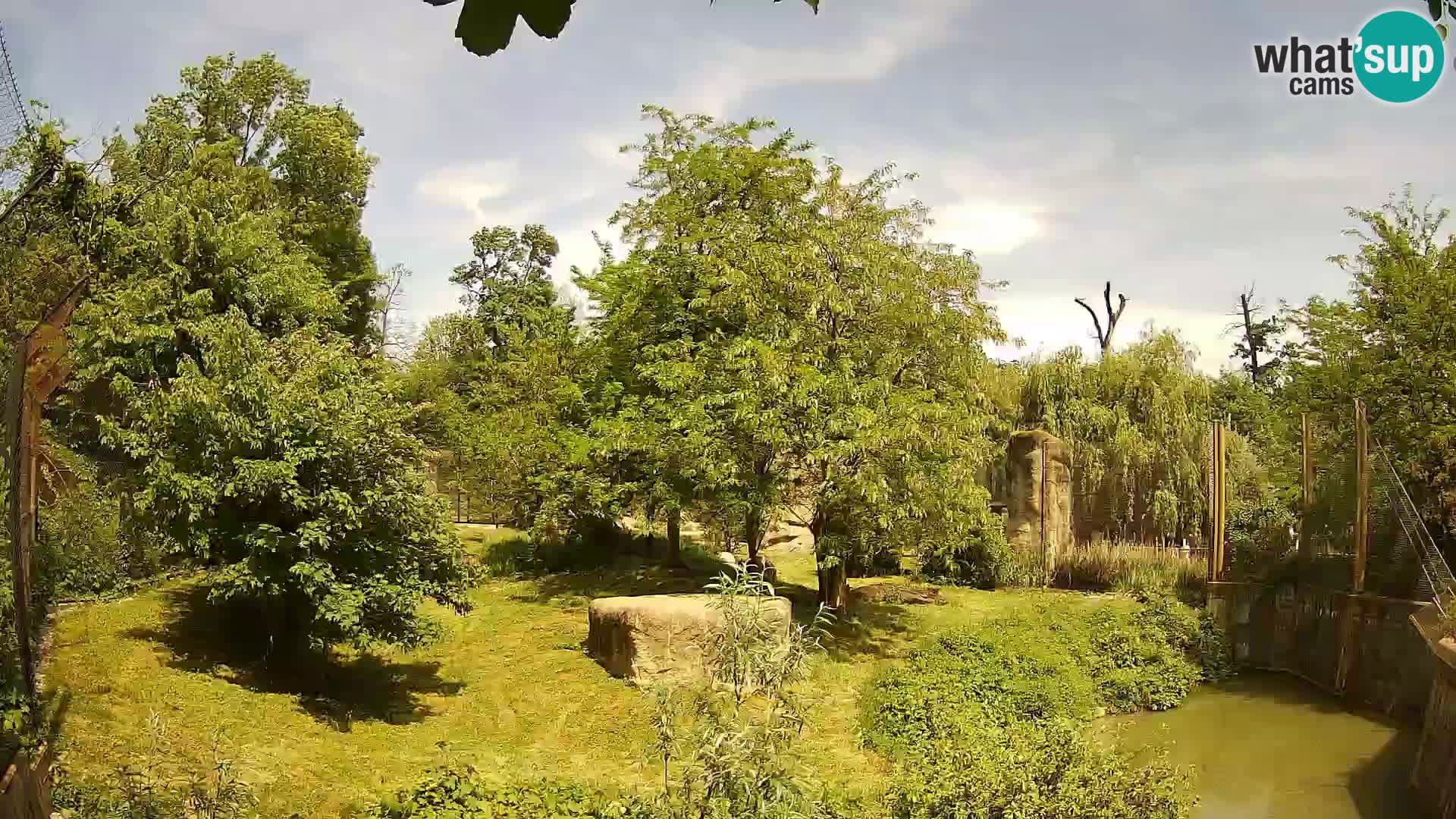 Zoo Zagreb – Leones