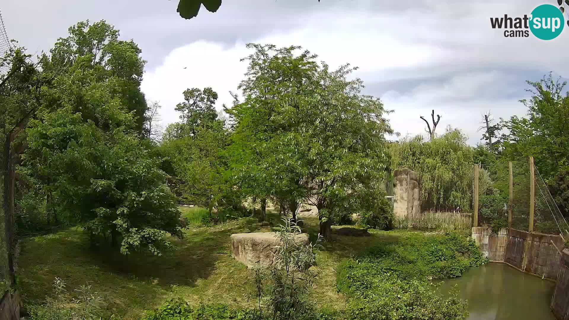 Zoo Zagreb – Löwen
