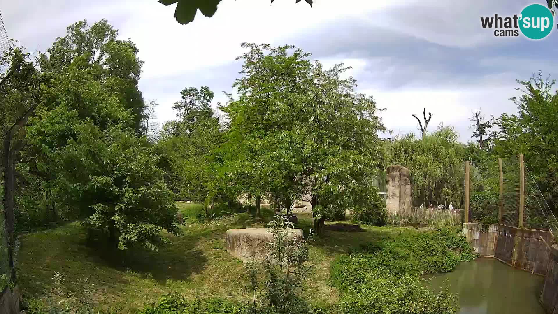Zoo Zagreb – Leones