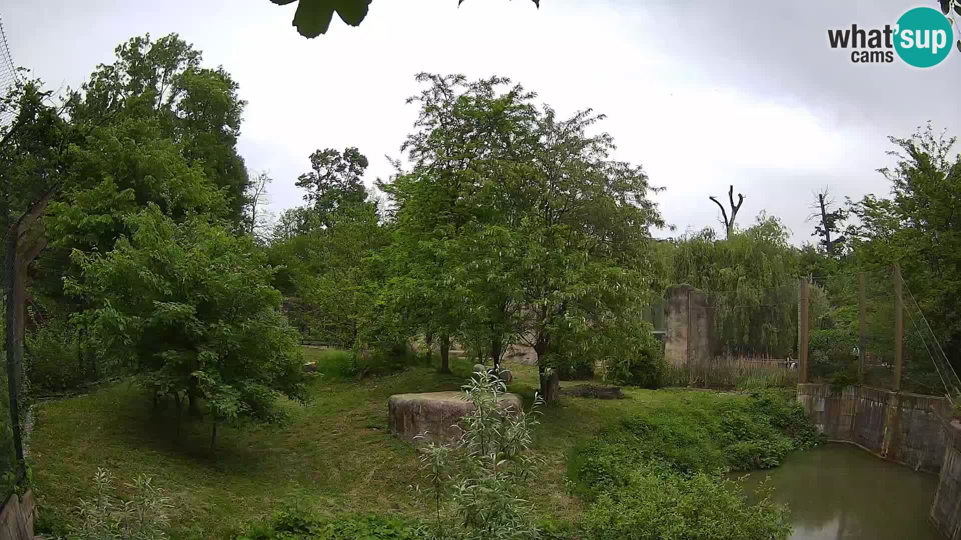 Zoo Zagreb – Leoni