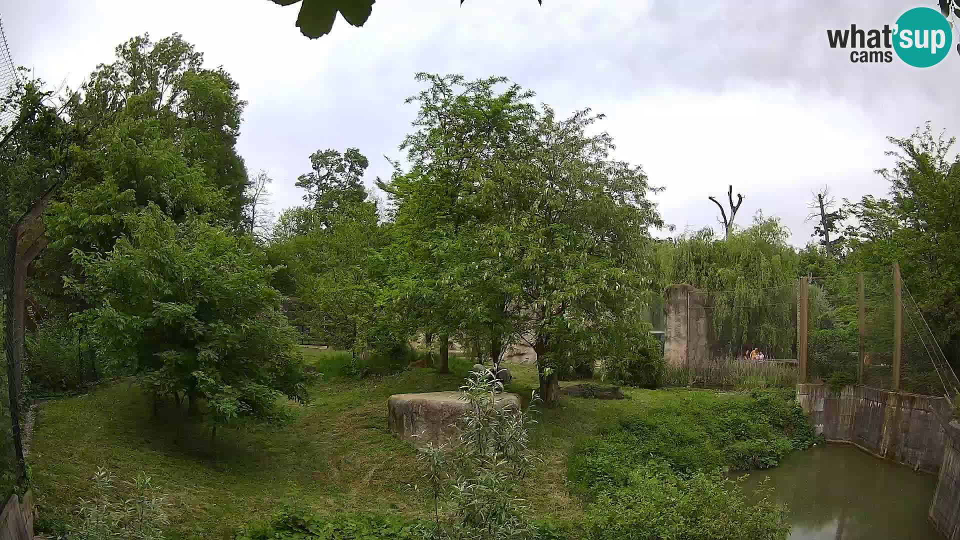 Zoo Zagreb – Löwen