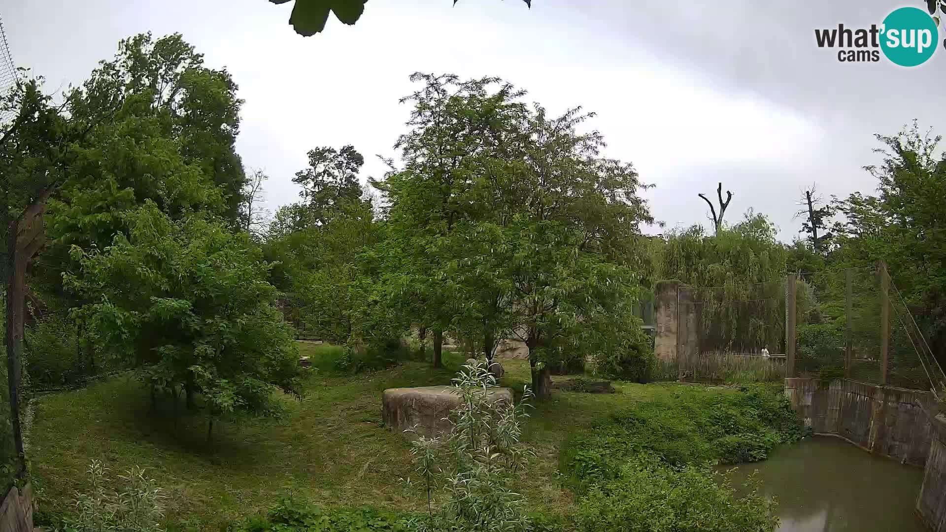 Zoo Zagreb – Leoni