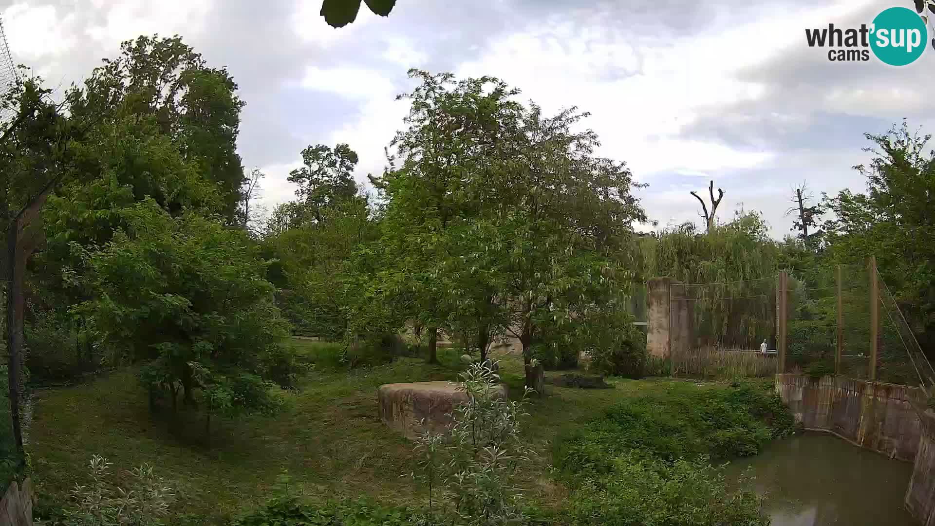 Zoo Zagreb – Leoni