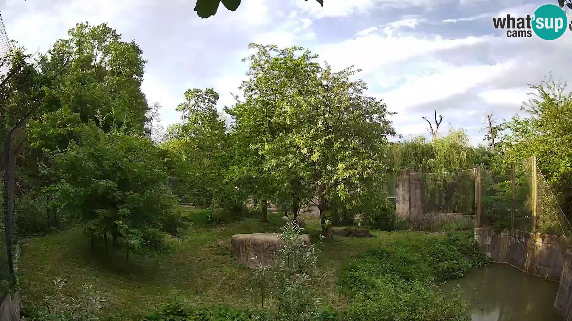 Zoo Zagreb – Leoni