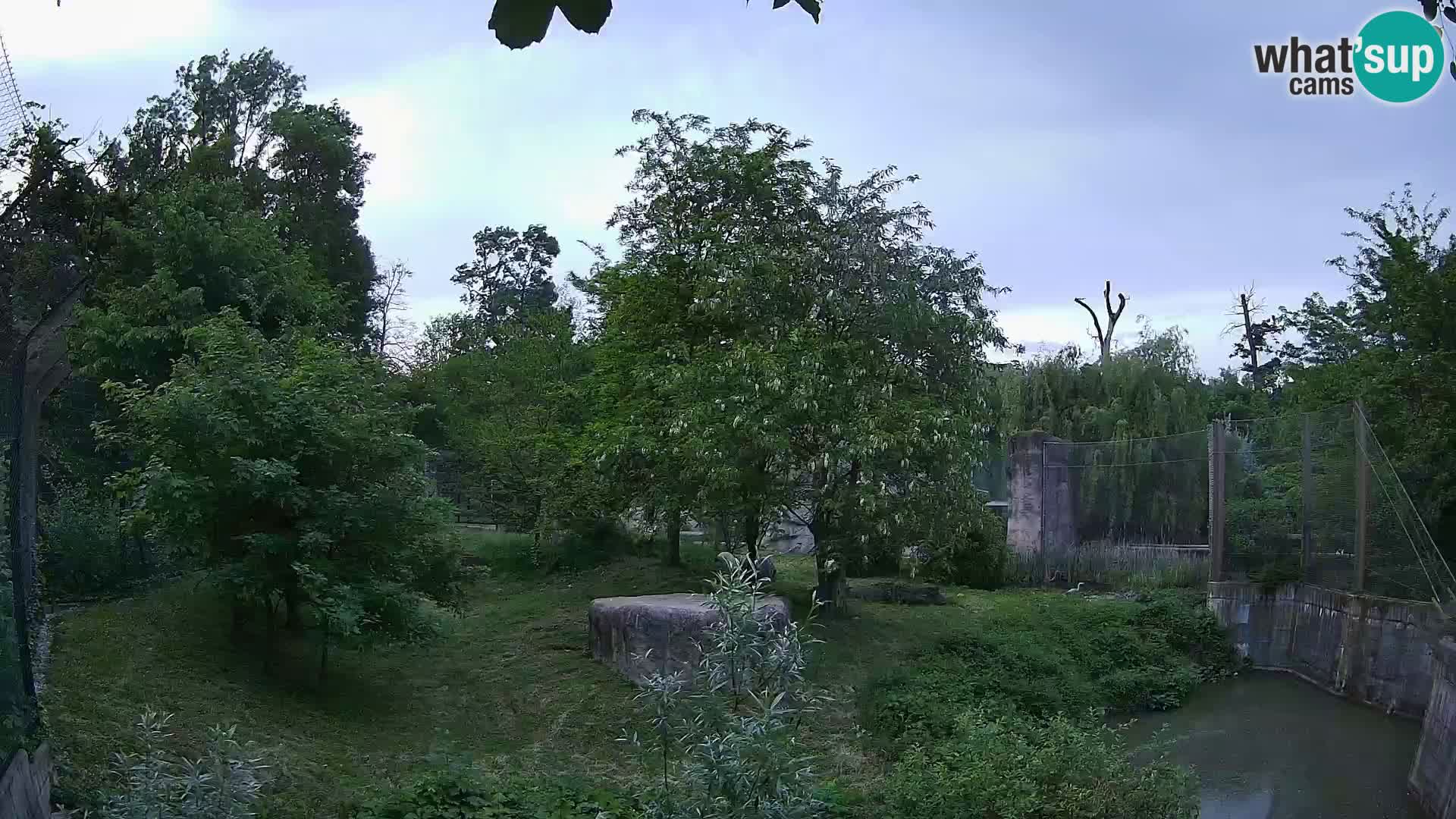 Zoo Zagreb – Leoni