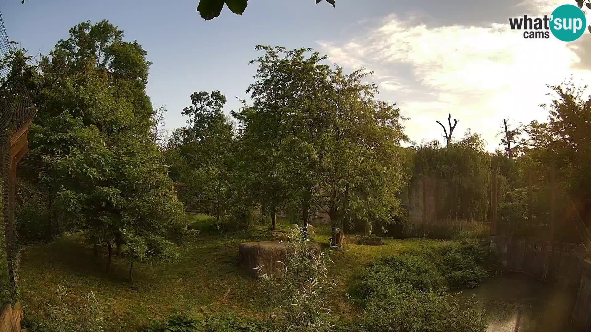 Zoo Zagreb – Leoni