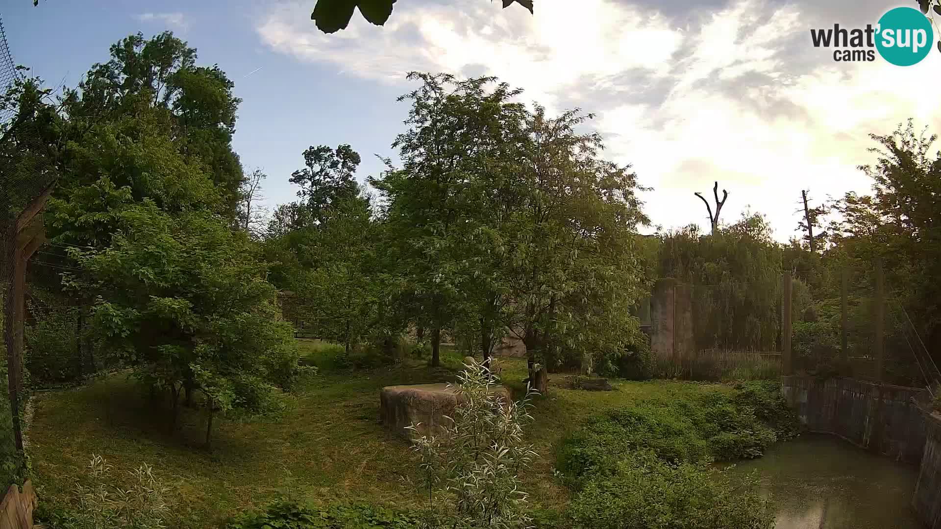 Zoo Zagreb – Leoni