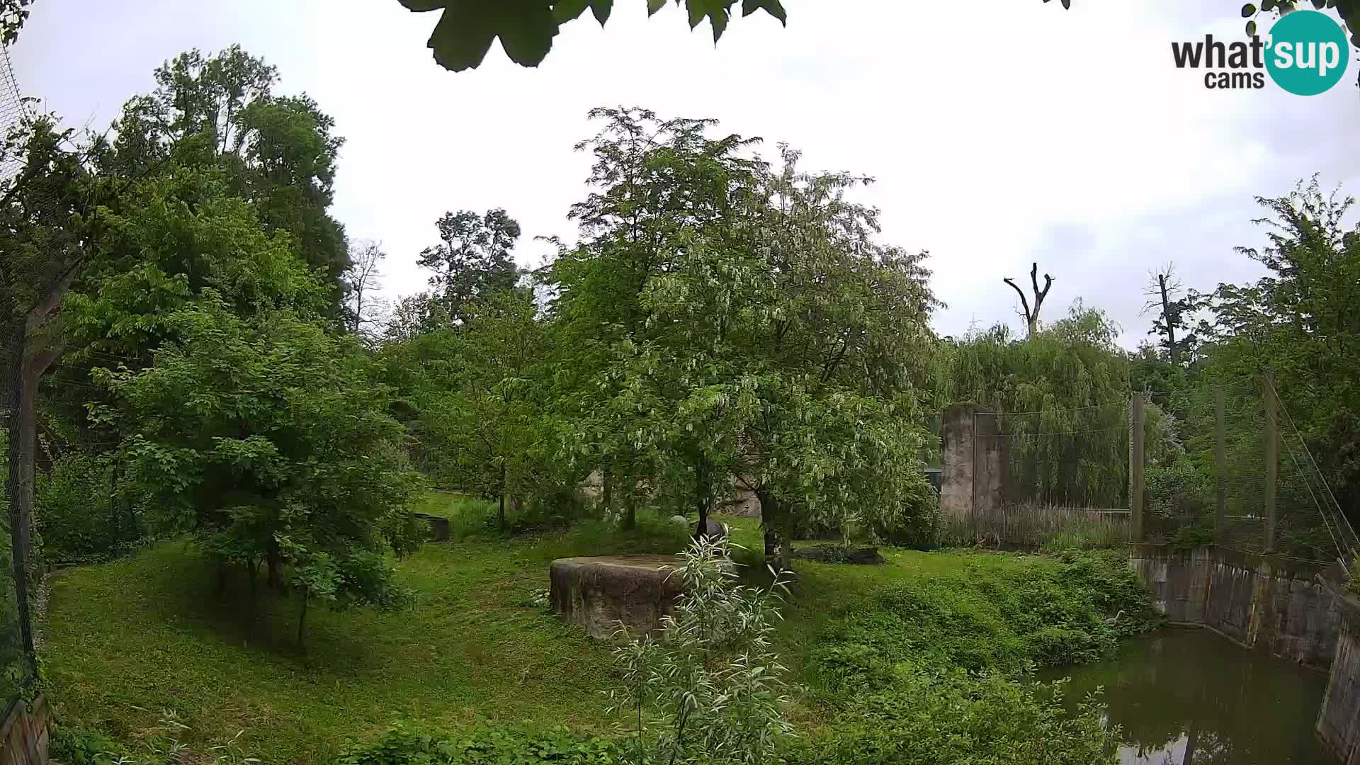 Zoo Zagreb – Leoni