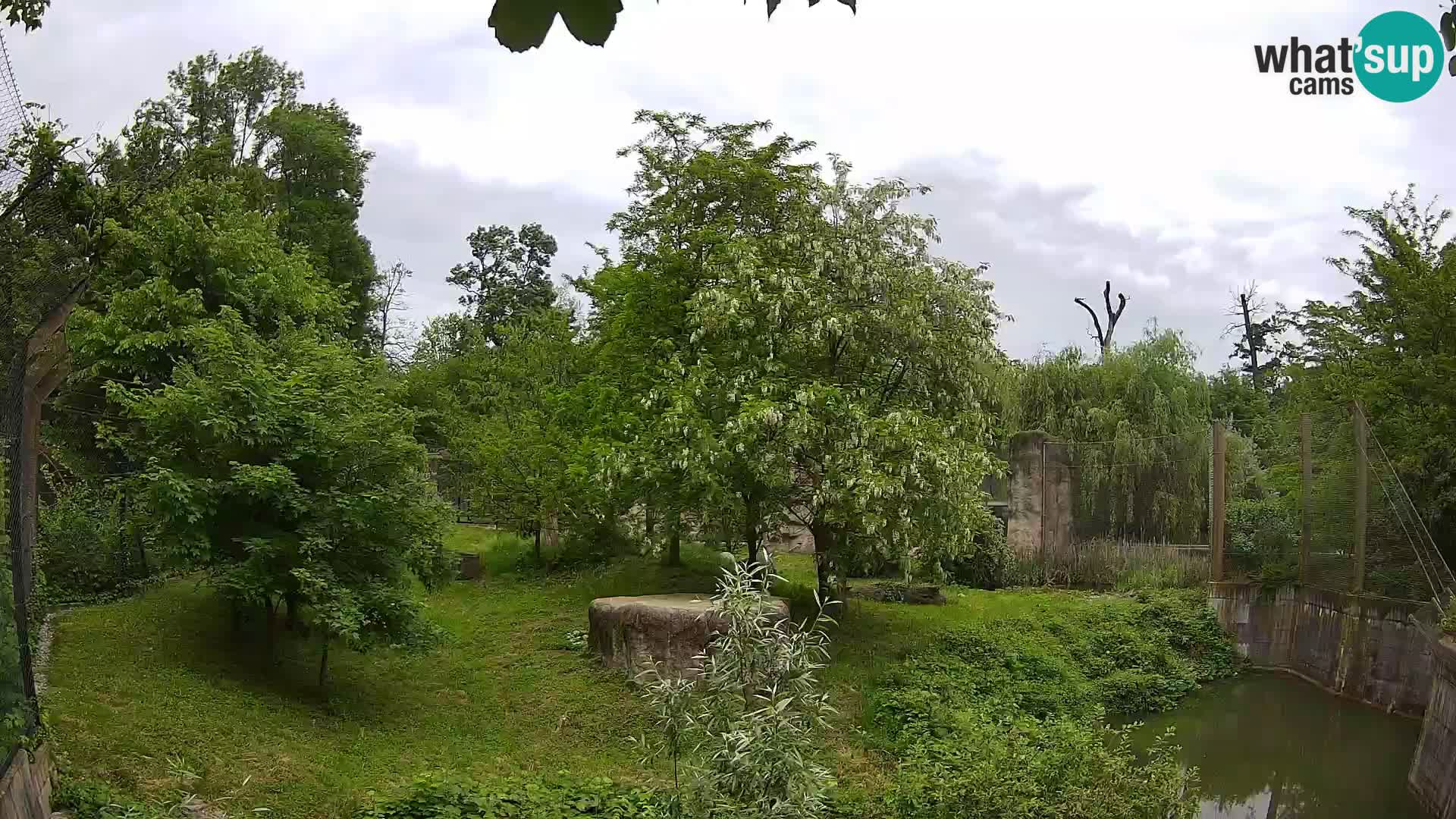 Zoo Zagreb – Löwen