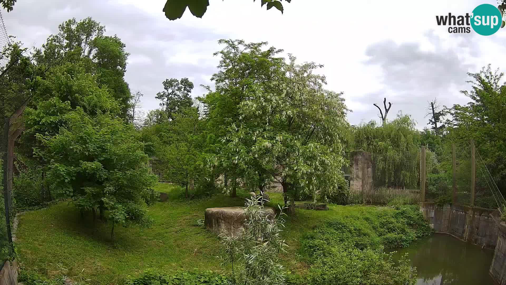 Zoo Zagreb – Leoni