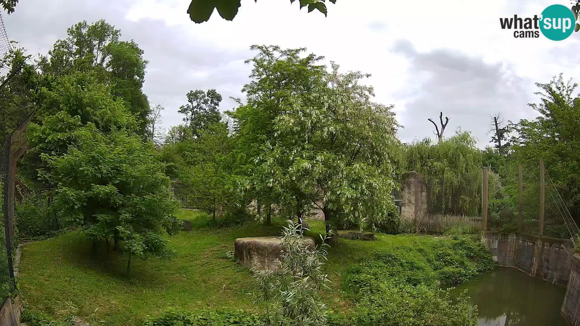 Zoo Zagreb – Löwen