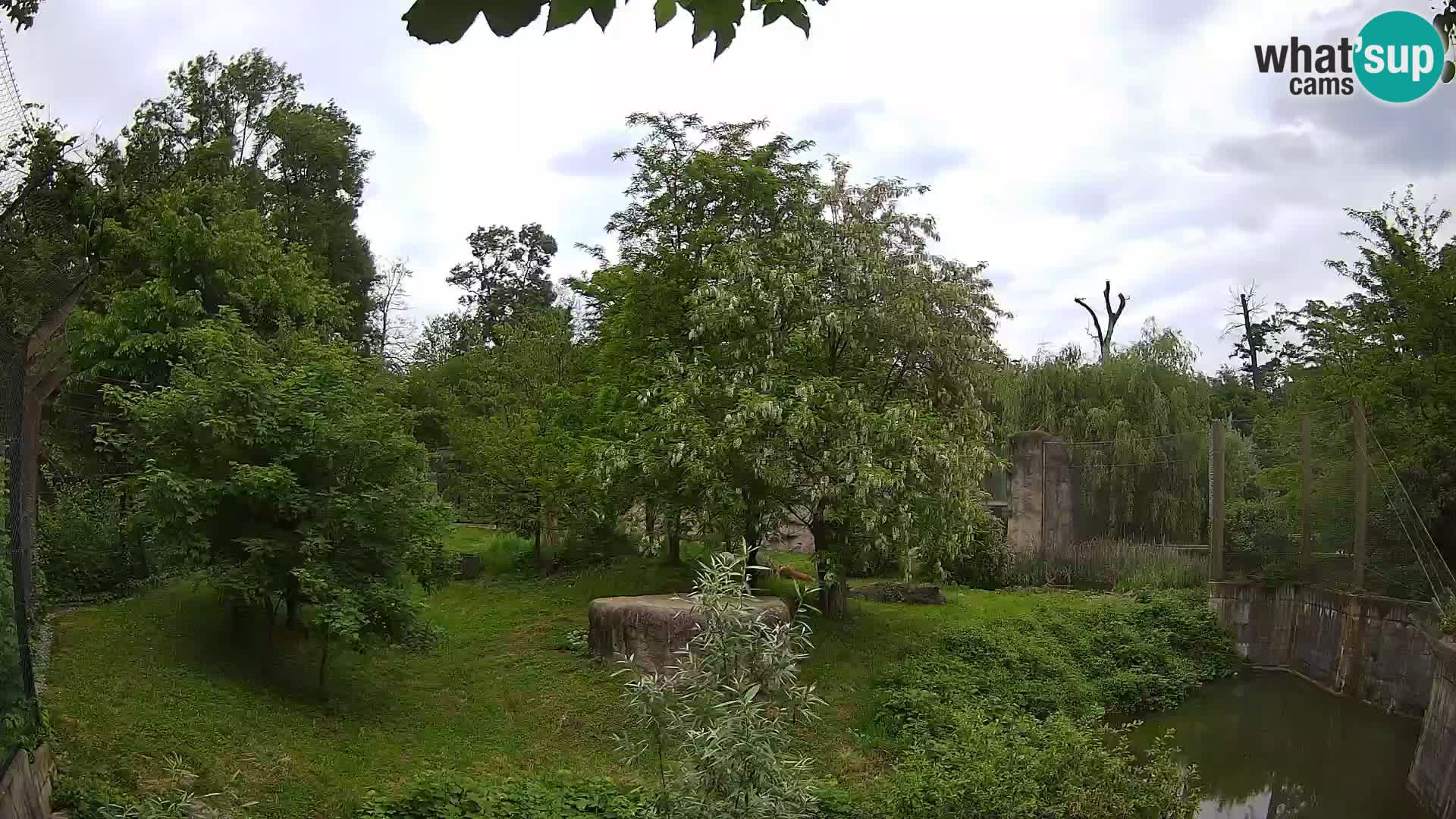 Zoo Zagreb – Leones
