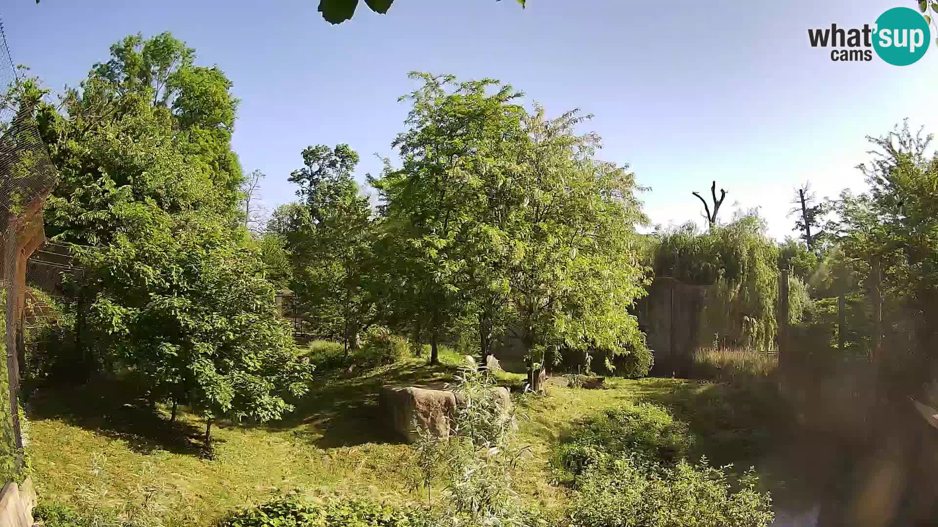 Spletna kamera Zoo Zagreb – Levi