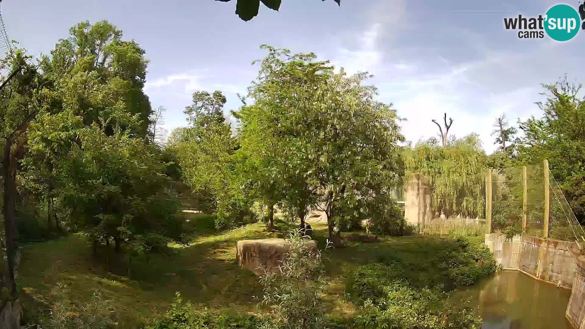 Zoo Zagreb – Löwen
