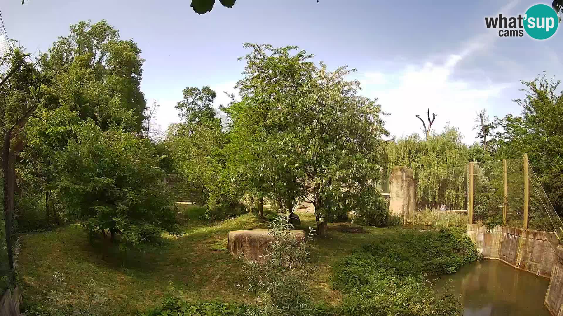 Spletna kamera Zoo Zagreb – Levi