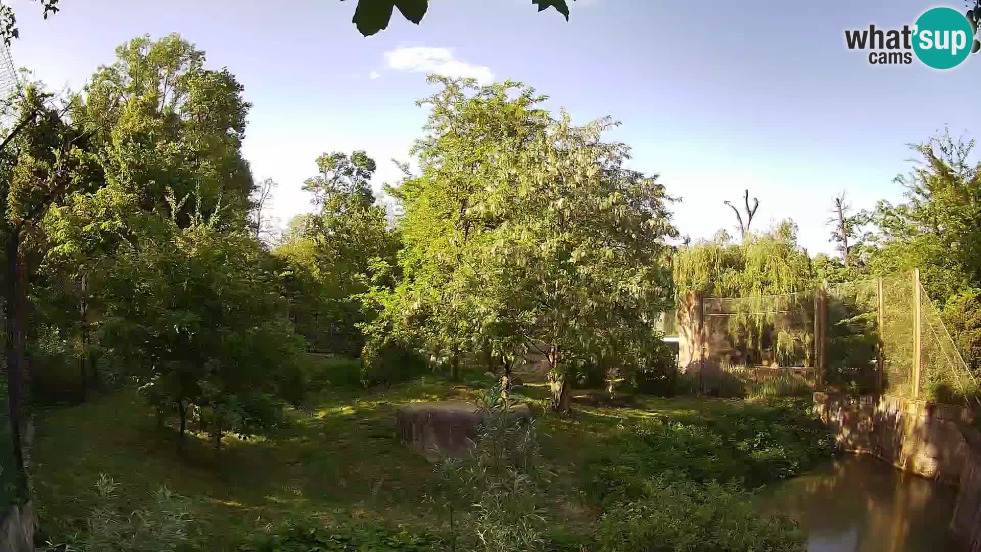 Zoo Zagreb – Leoni