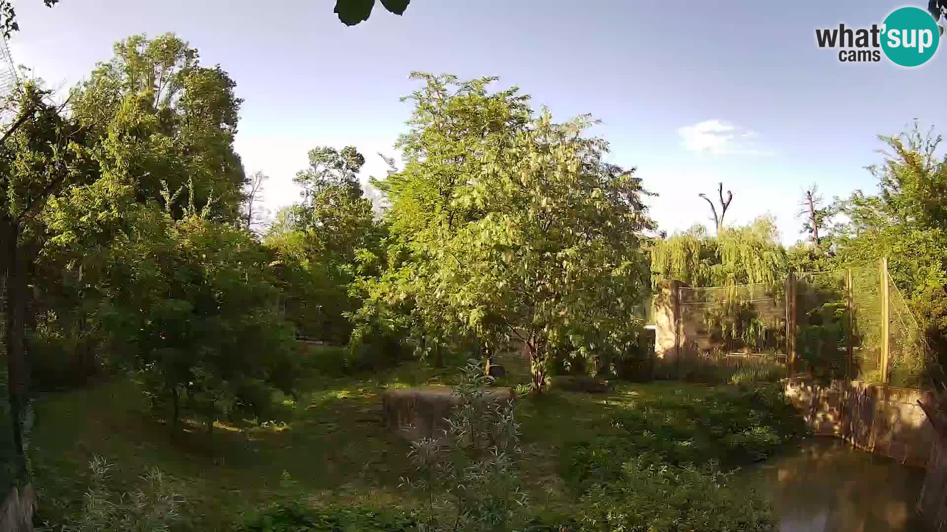 Zoo Zagreb – Leoni